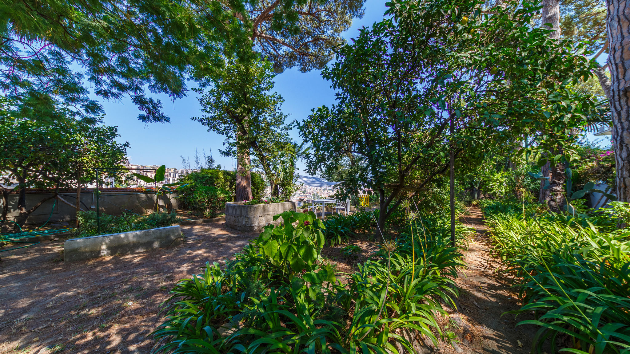 Italianway Napoli  Romantic Place with Pines, cats and Stunning view - Lovely Frame