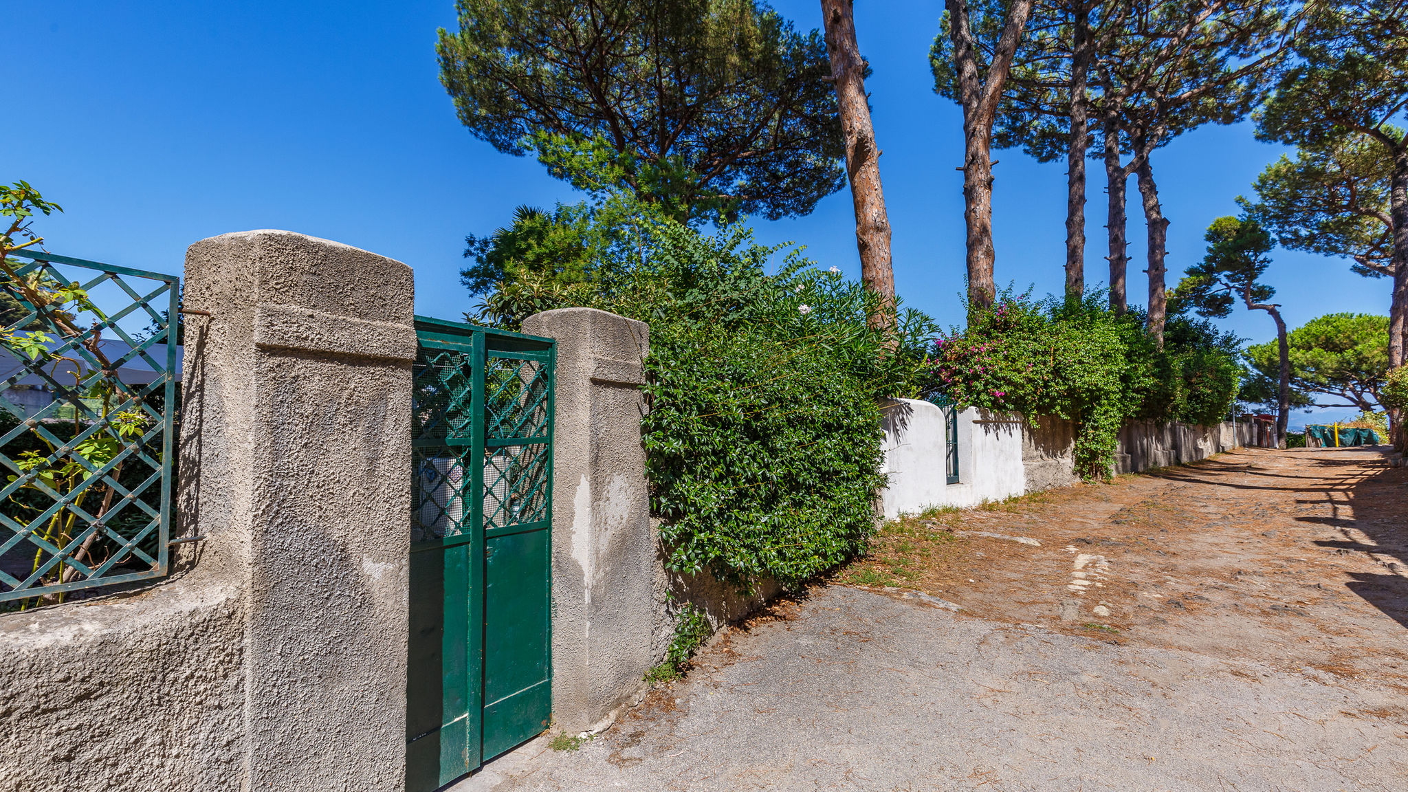 Italianway Napoli  Romantic Place with Pines, cats and Stunning view - Lovely Frame