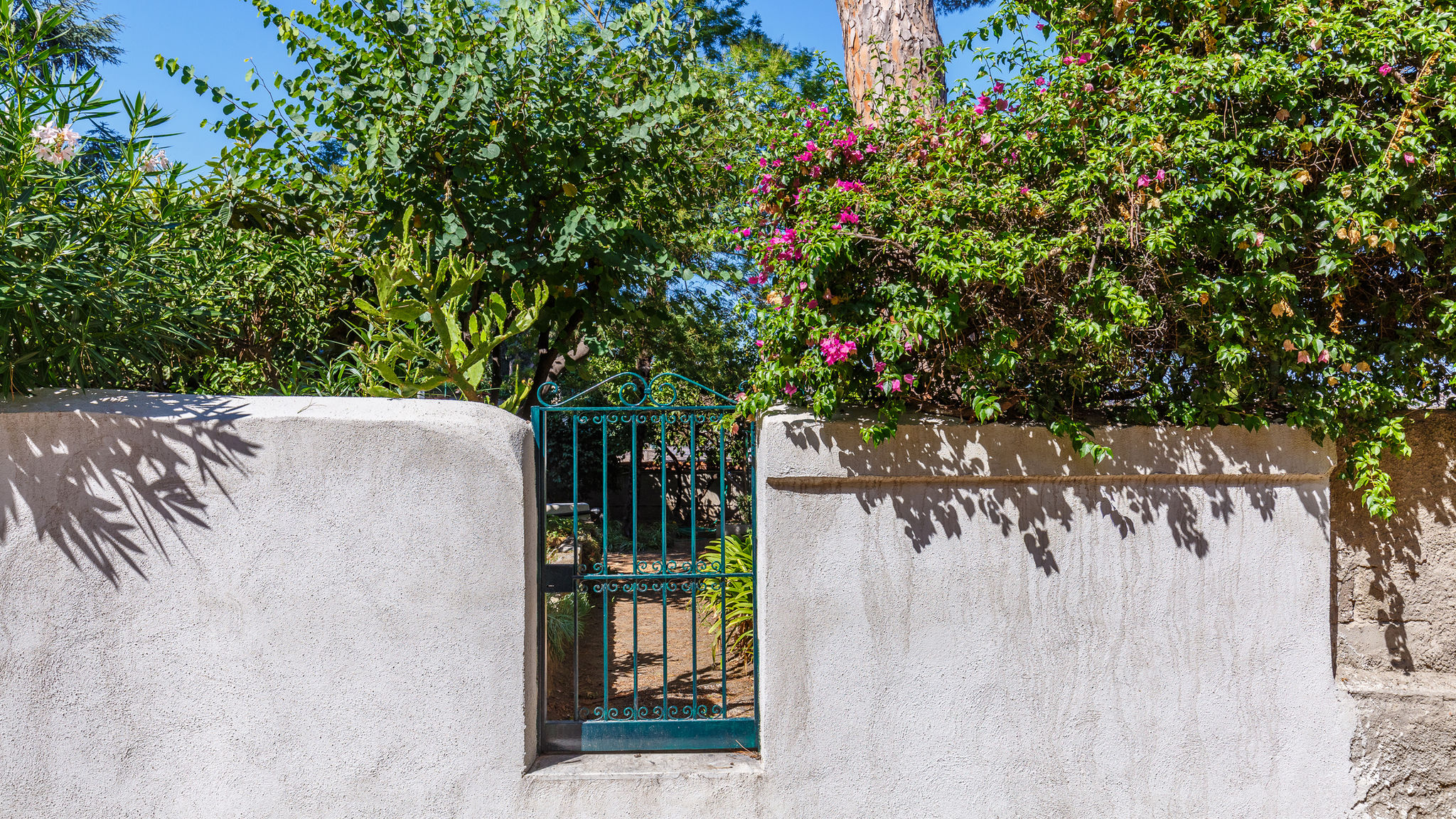 Napoliapartments.it Napoli  Romantic Place with Pines, cats and Stunning view - Lovely Frame