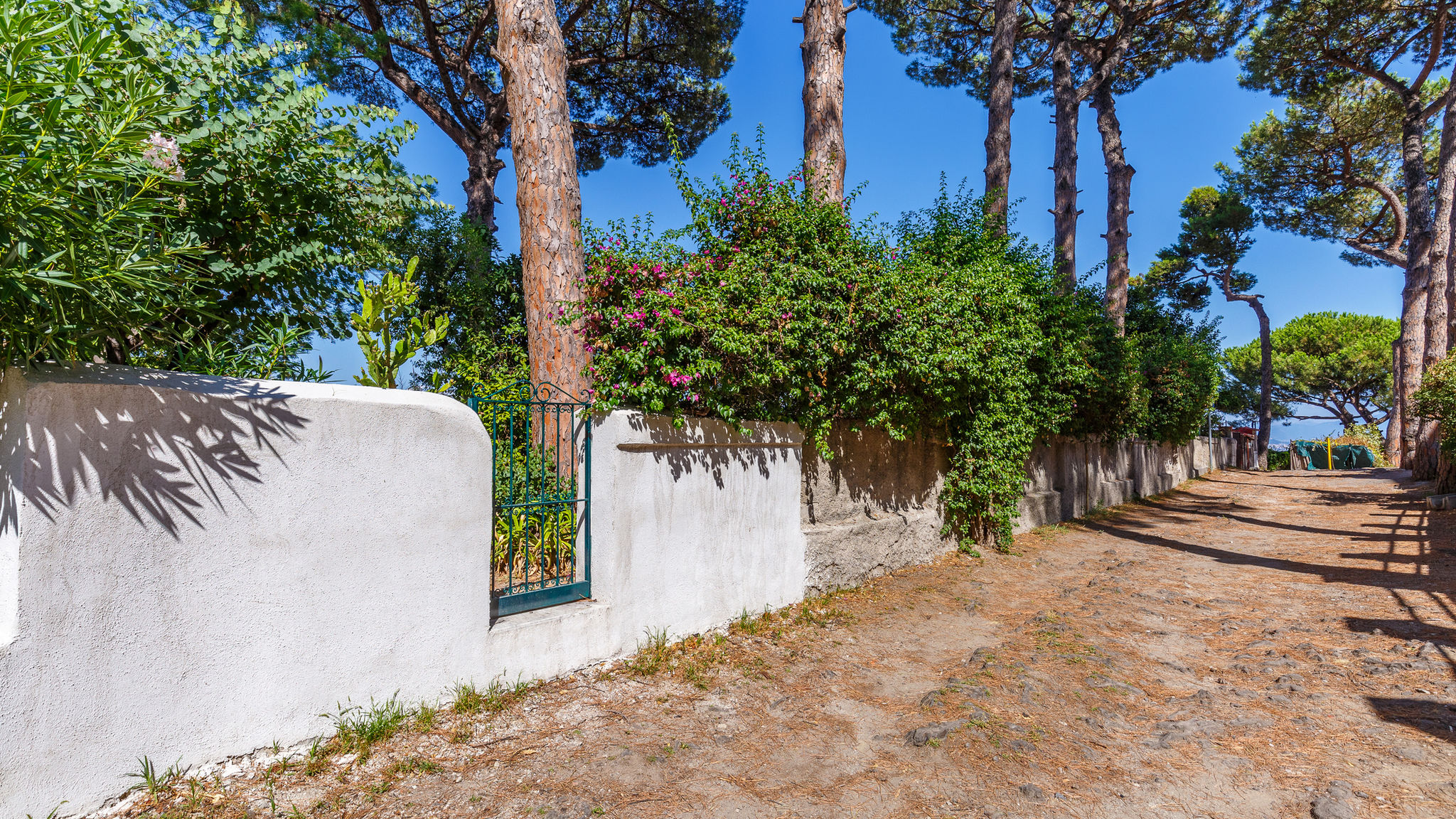 Italianway Napoli  Romantic Place with Pines, cats and Stunning view - Lovely Frame