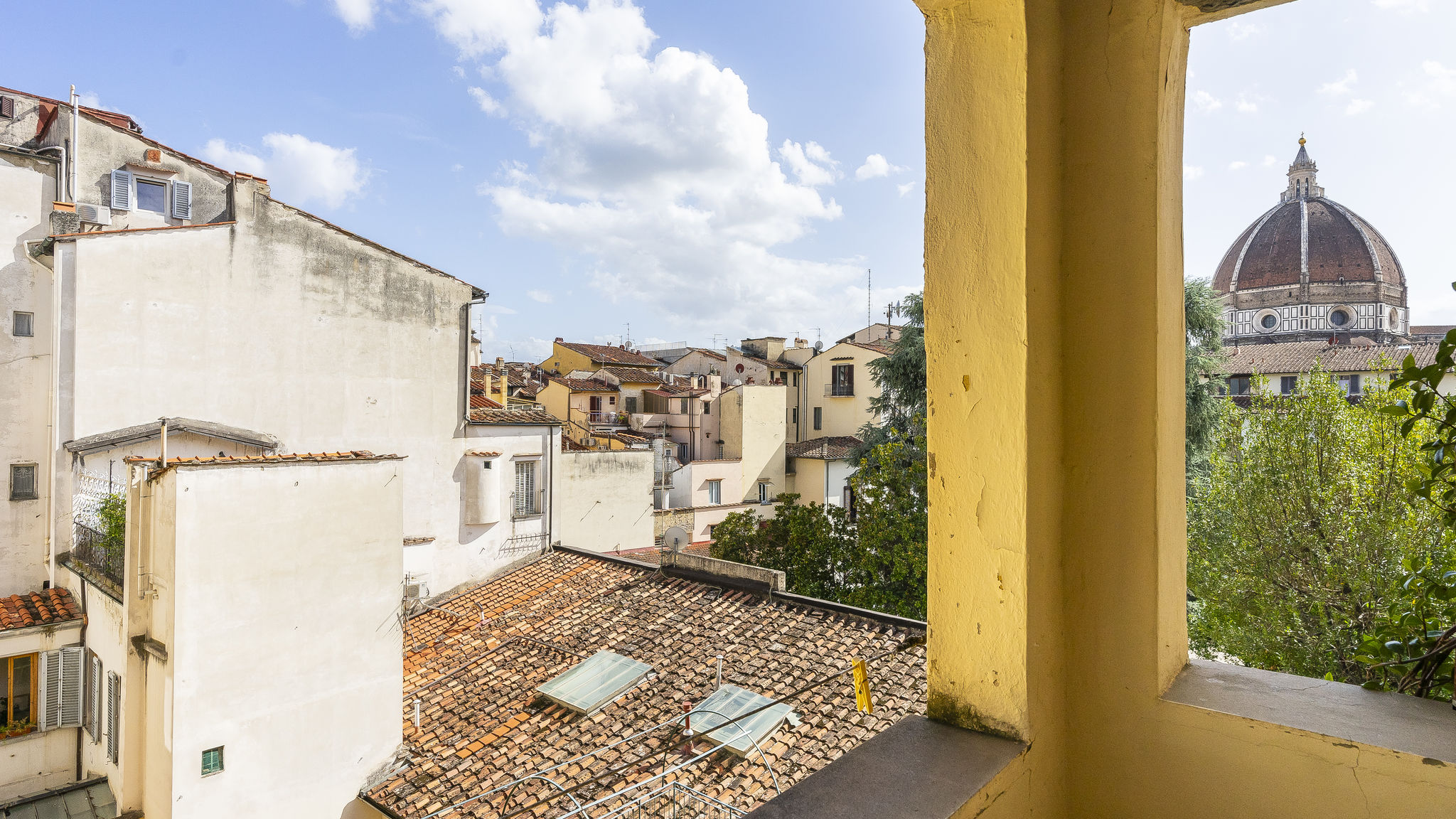 Alfani 63 Apartment 