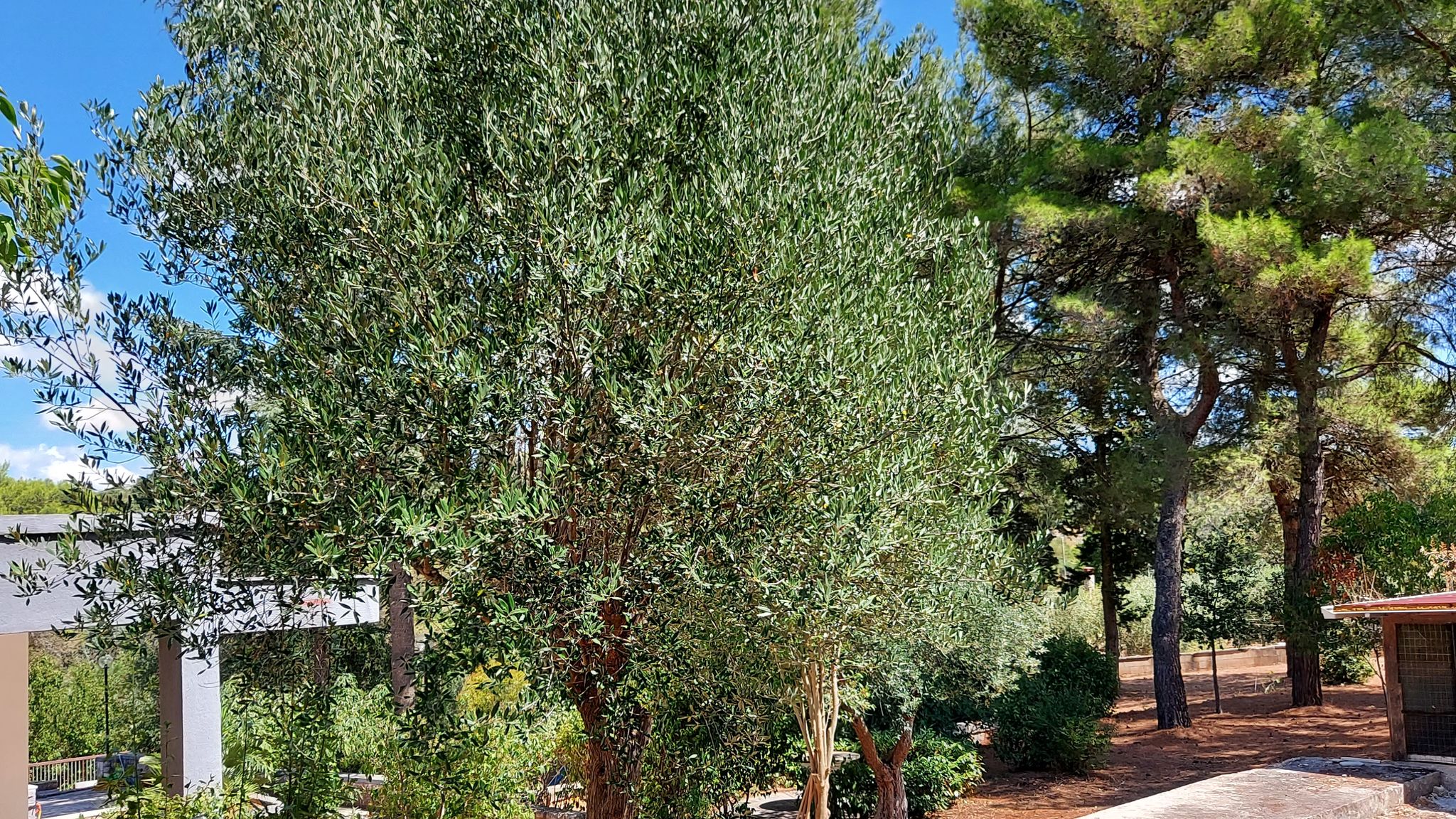 CASE AL LAGO Putignano Puglia Tu (Putignano) By Case al Lago