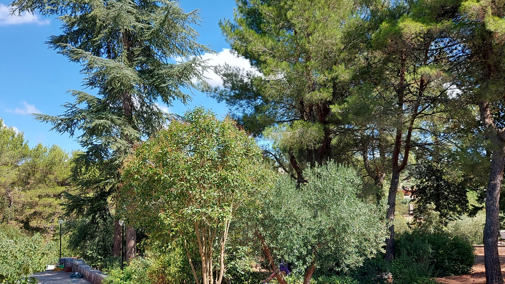 CASE AL LAGO Putignano Puglia Tu (Putignano) By Case al Lago