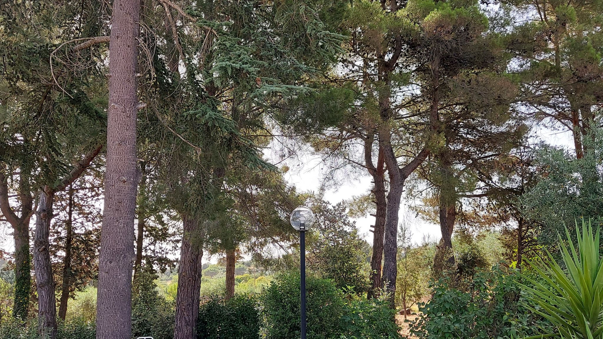 CASE AL LAGO Putignano Puglia Tu (Putignano) By Case al Lago