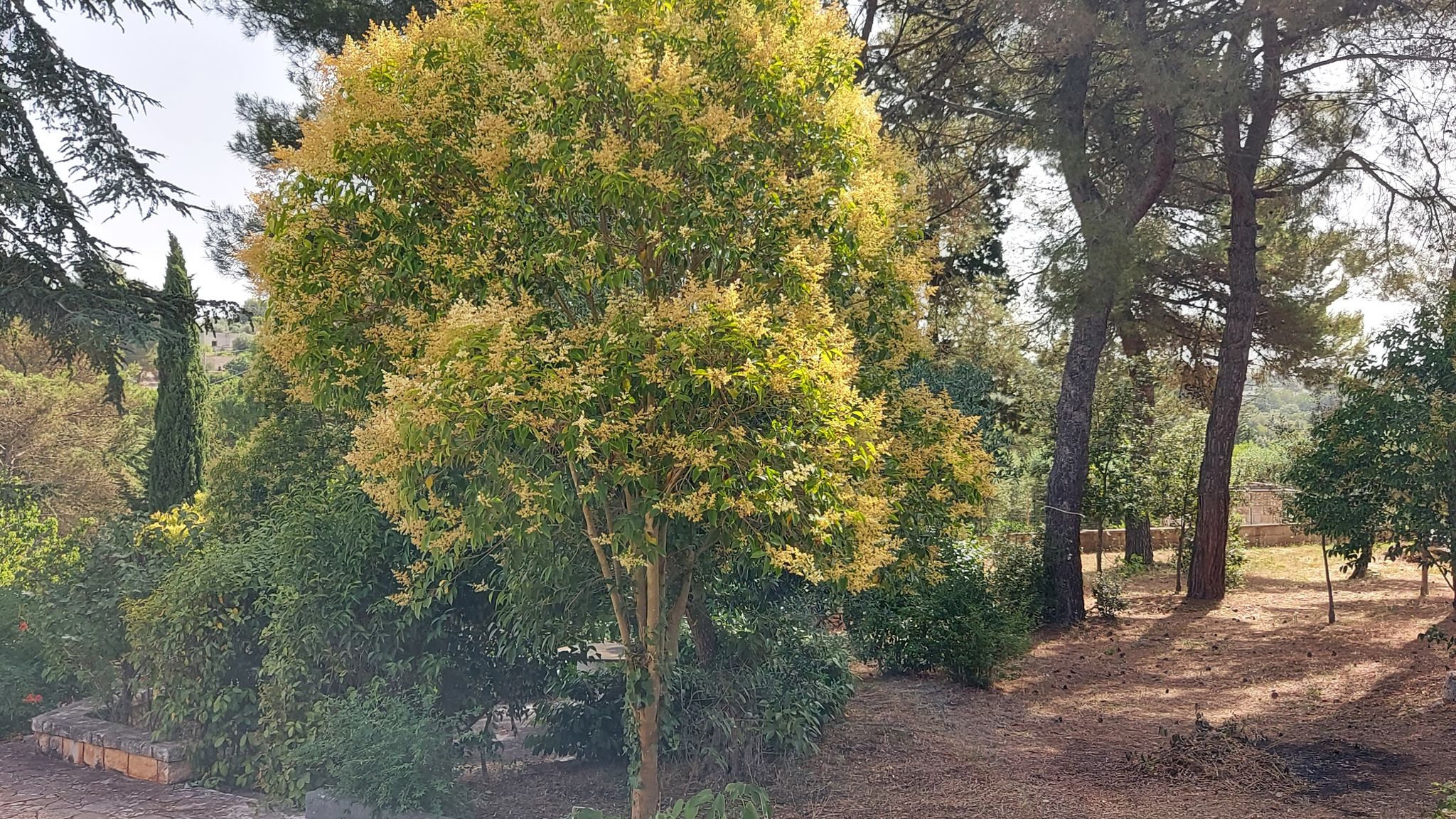 CASE AL LAGO Putignano Puglia Tu (Putignano) By Case al Lago