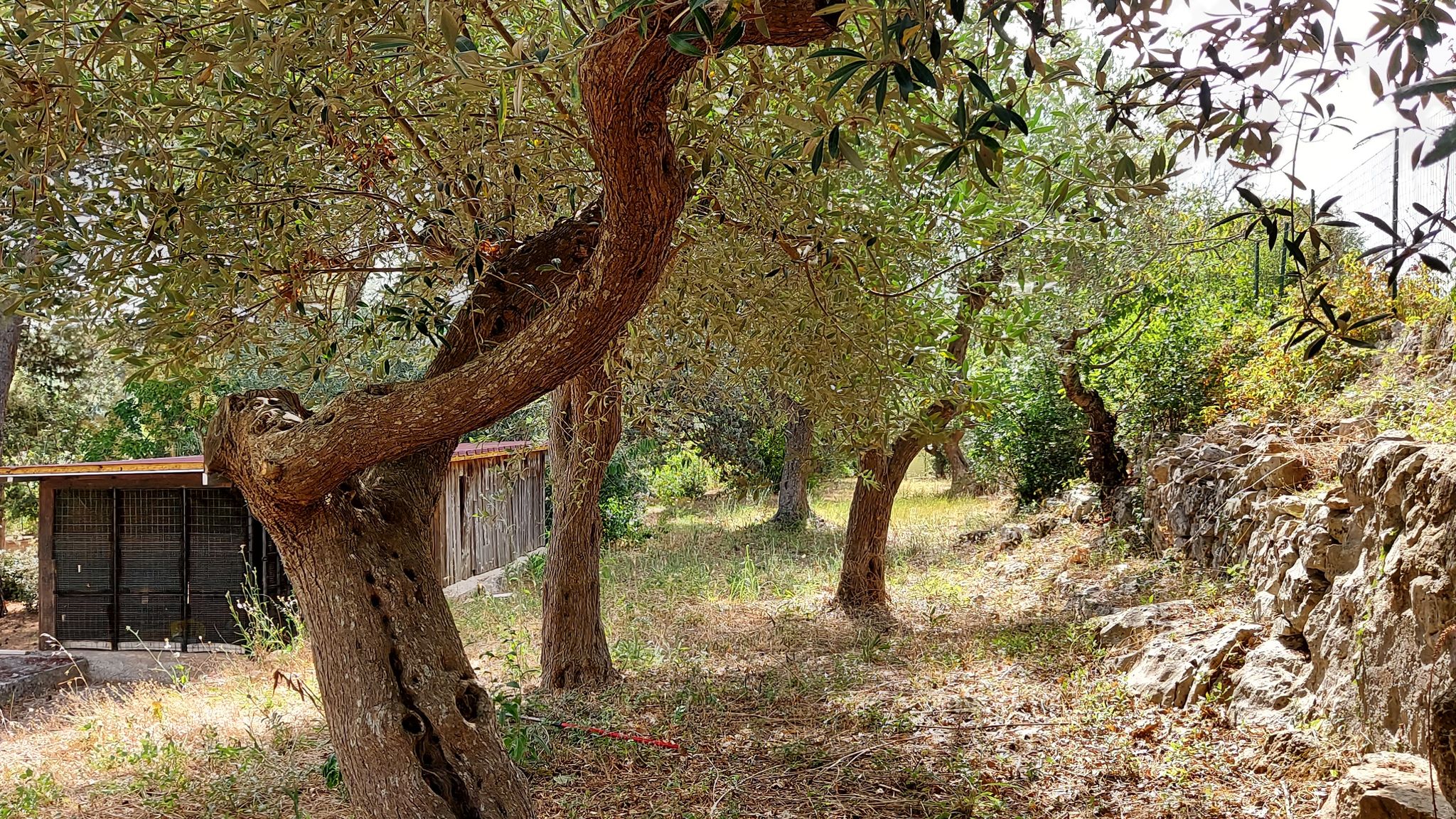 CASE AL LAGO Putignano Puglia Tu (Putignano) By Case al Lago