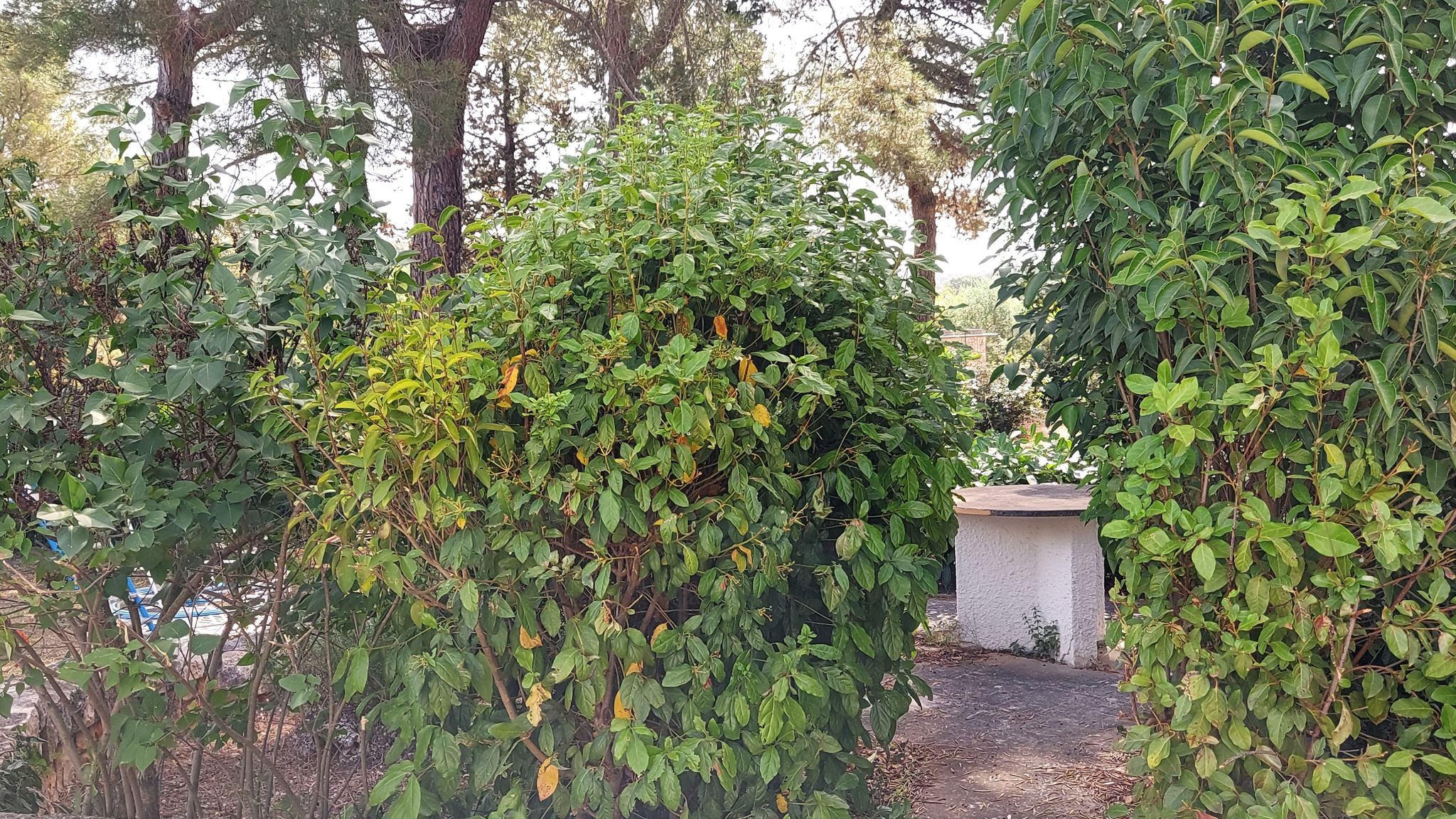 CASE AL LAGO Putignano Puglia Tu (Putignano) By Case al Lago