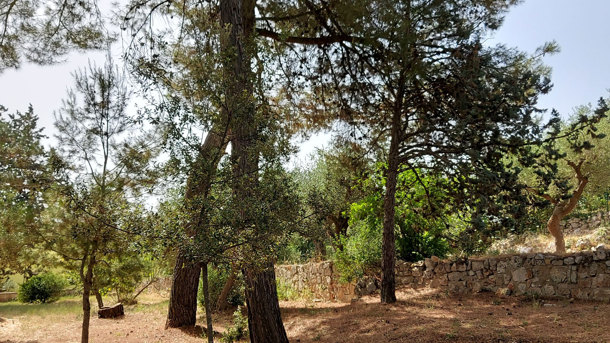 CASE AL LAGO Putignano Puglia Tu (Putignano) By Case al Lago