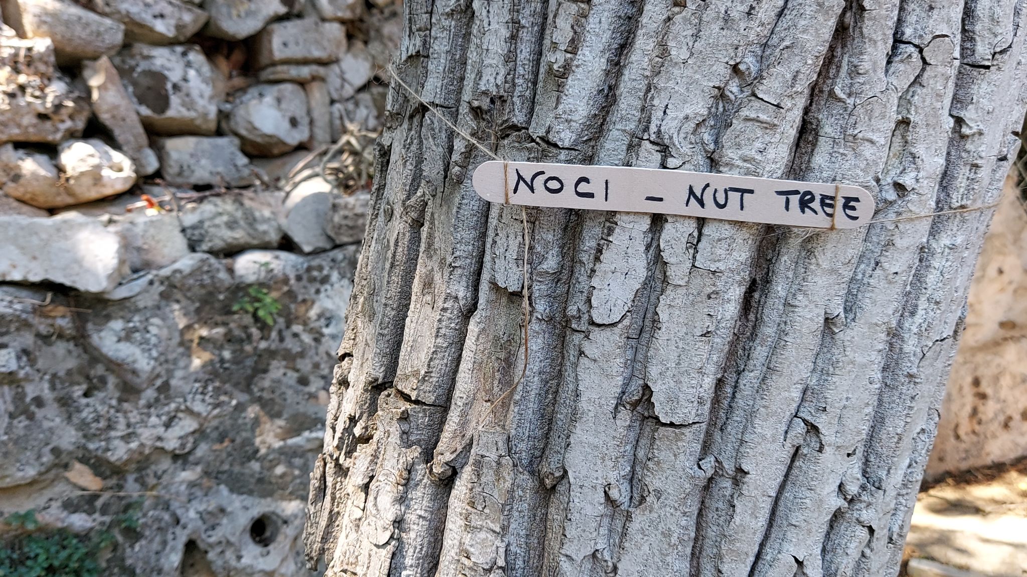 CASE AL LAGO Putignano Puglia Tu (Putignano) By Case al Lago