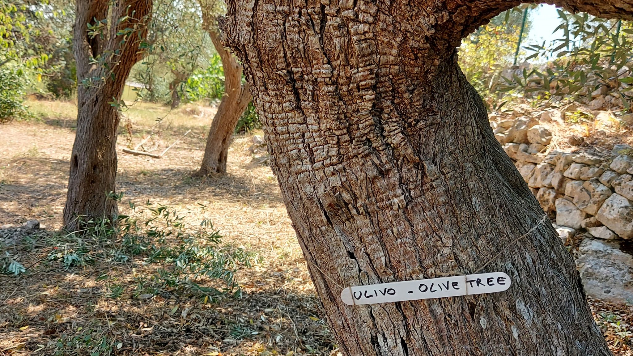CASE AL LAGO Putignano Puglia Tu (Putignano) By Case al Lago