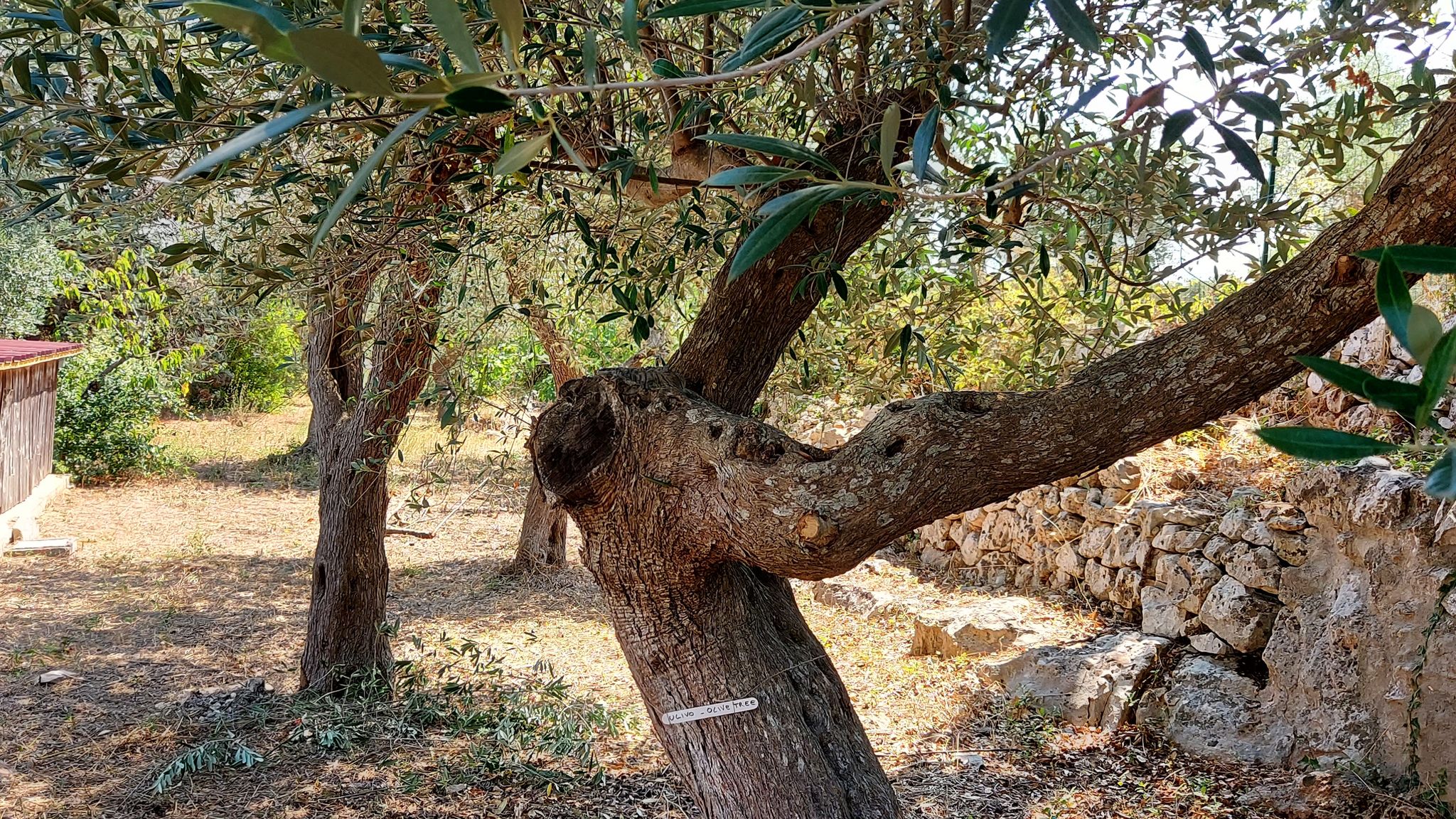 CASE AL LAGO Putignano Puglia Tu (Putignano) By Case al Lago