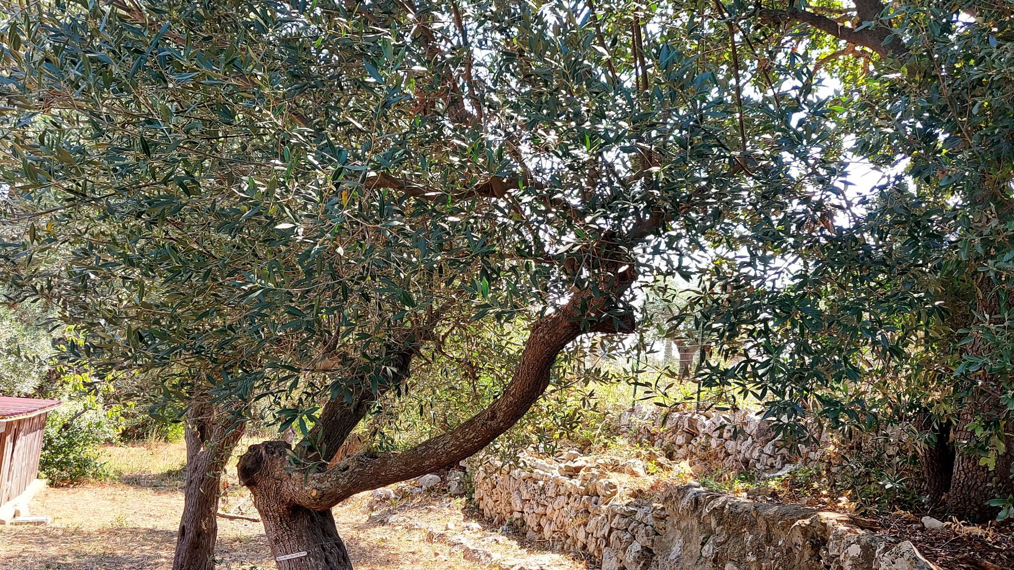 CASE AL LAGO Putignano Puglia Tu (Putignano) By Case al Lago