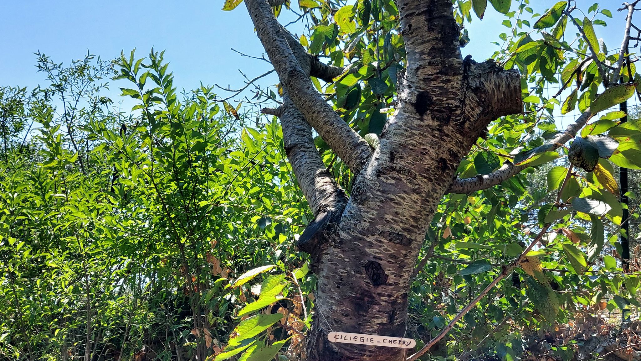 CASE AL LAGO Putignano Puglia Tu (Putignano) By Case al Lago