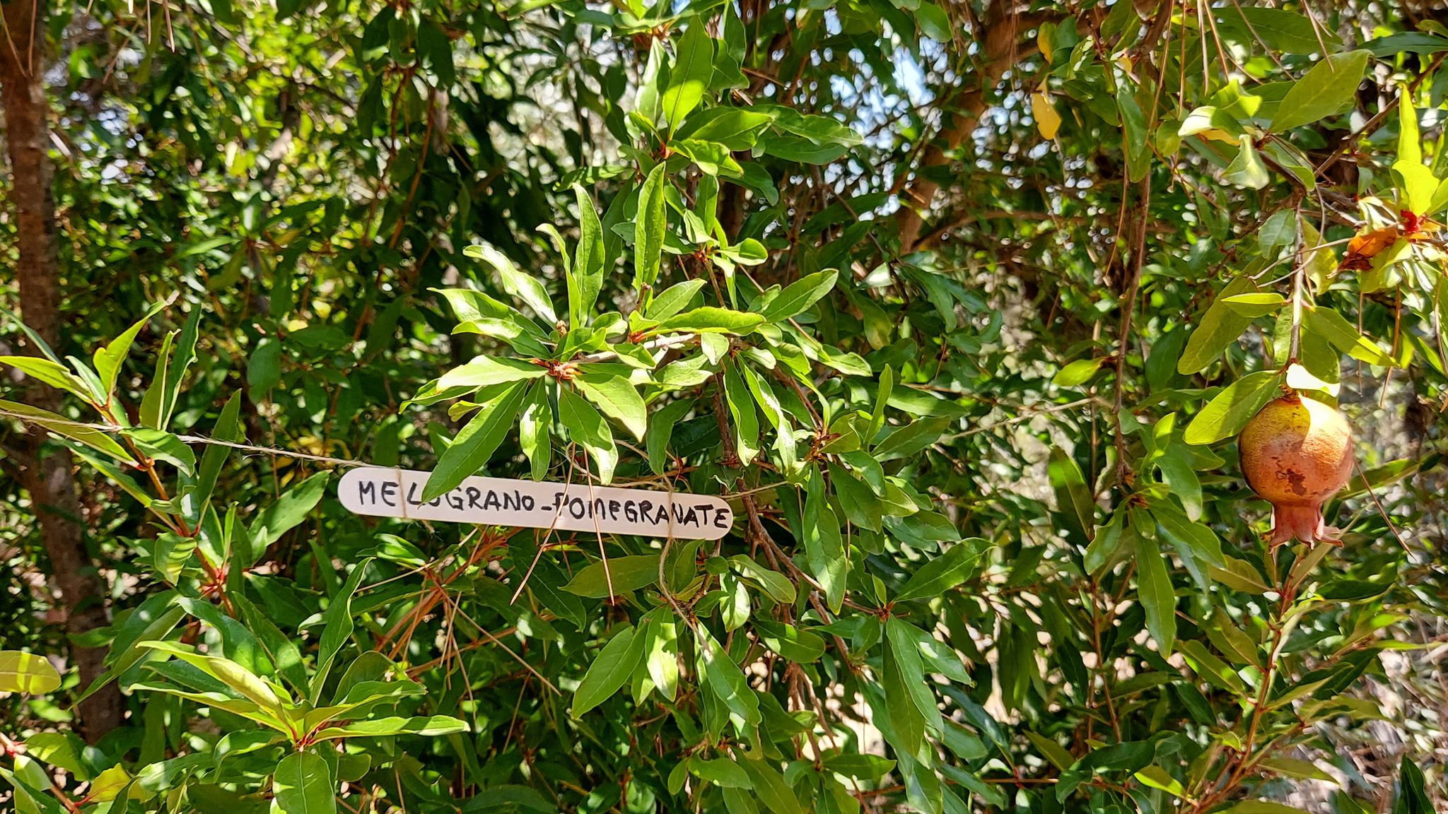 CASE AL LAGO Putignano Puglia Tu (Putignano) By Case al Lago