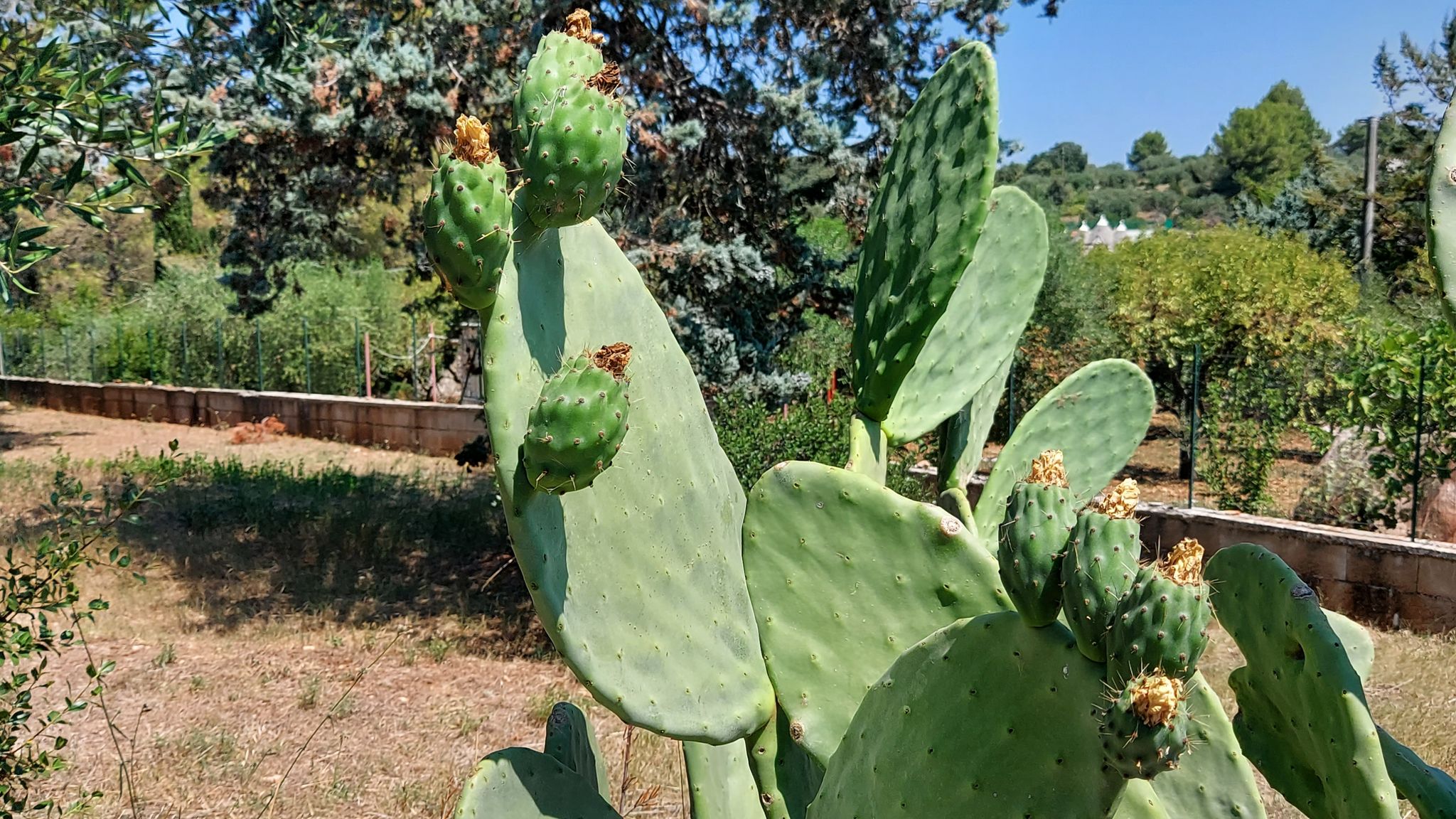 CASE AL LAGO Putignano Puglia Tu (Putignano) By Case al Lago