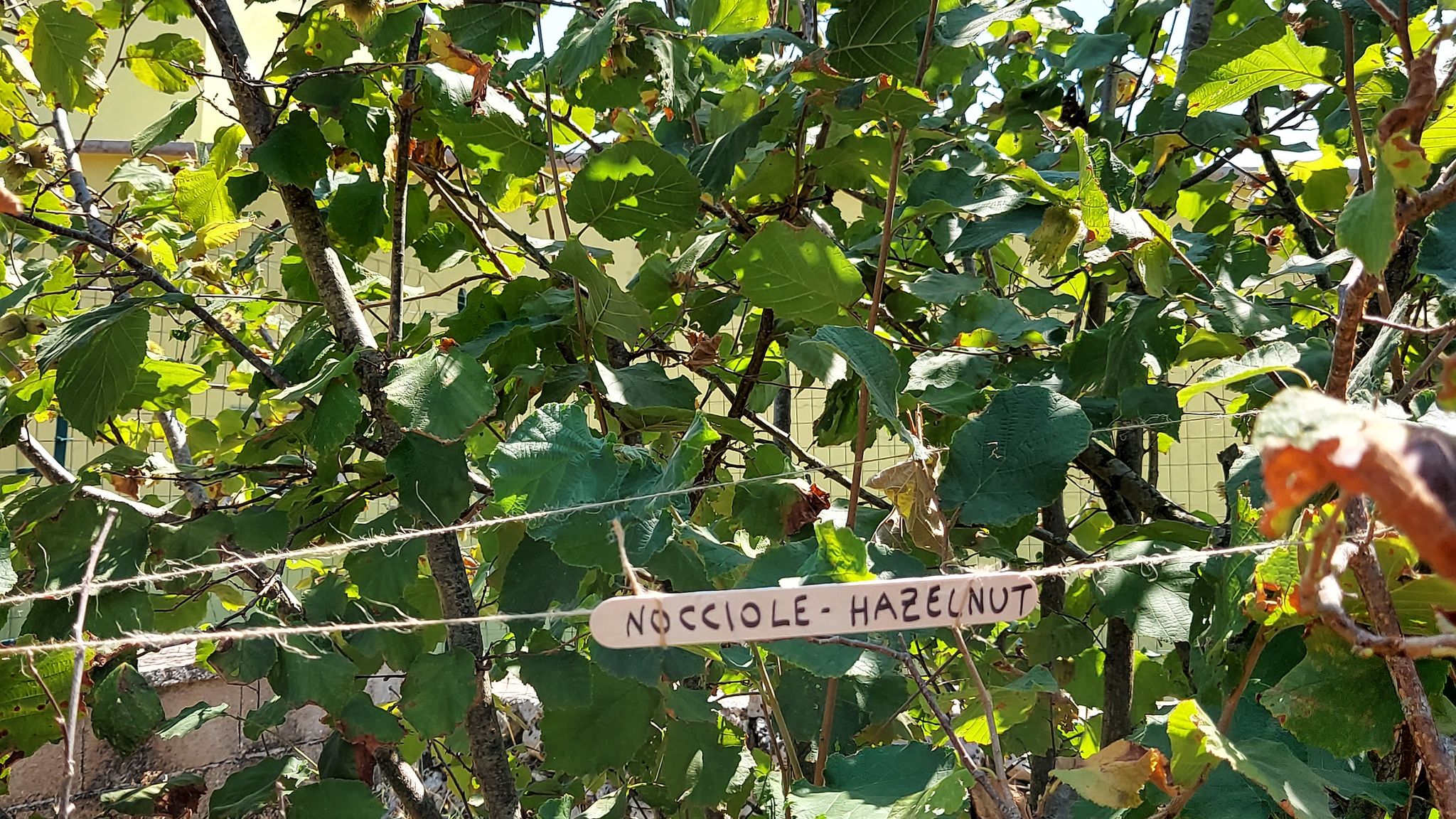 CASE AL LAGO Putignano Puglia Tu (Putignano) By Case al Lago