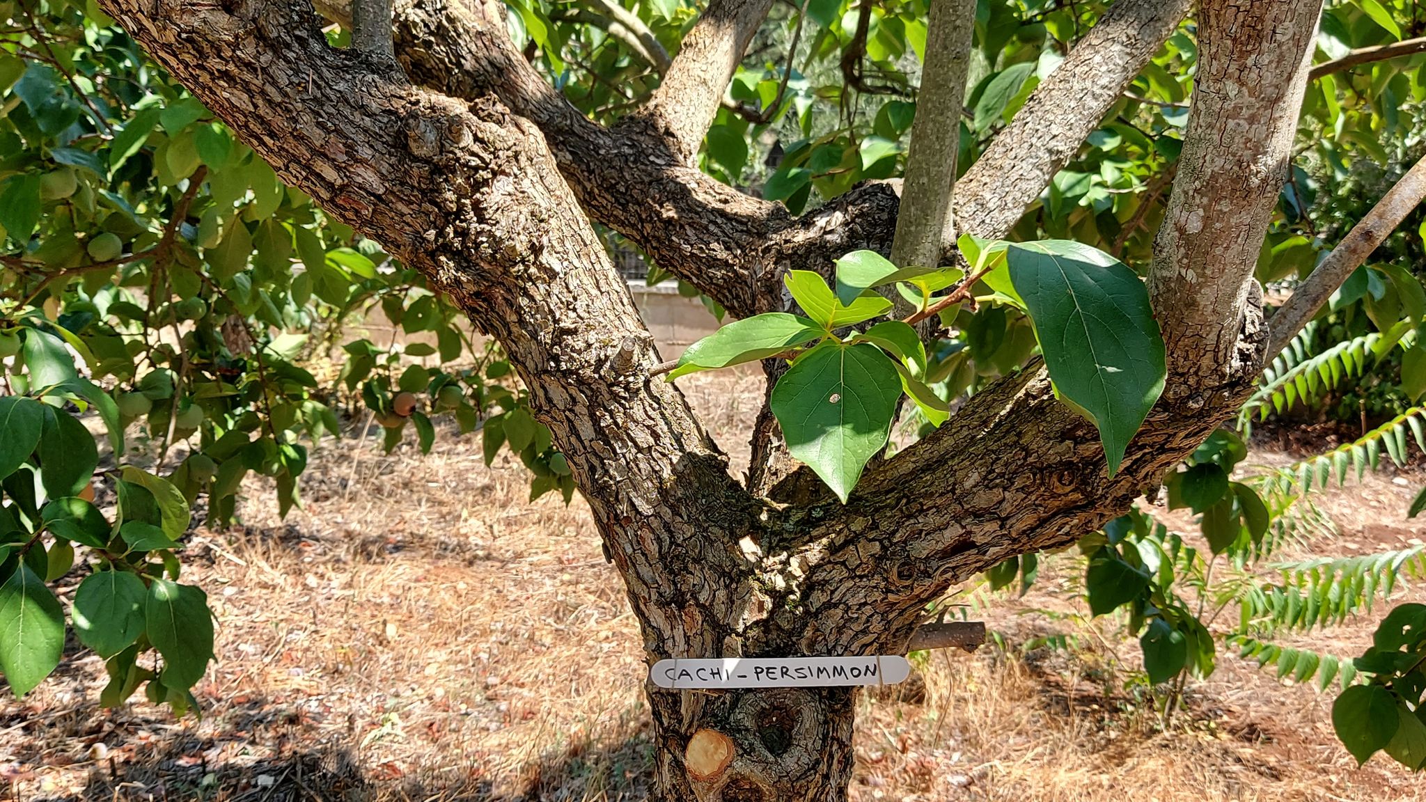 CASE AL LAGO Putignano Puglia Tu (Putignano) By Case al Lago