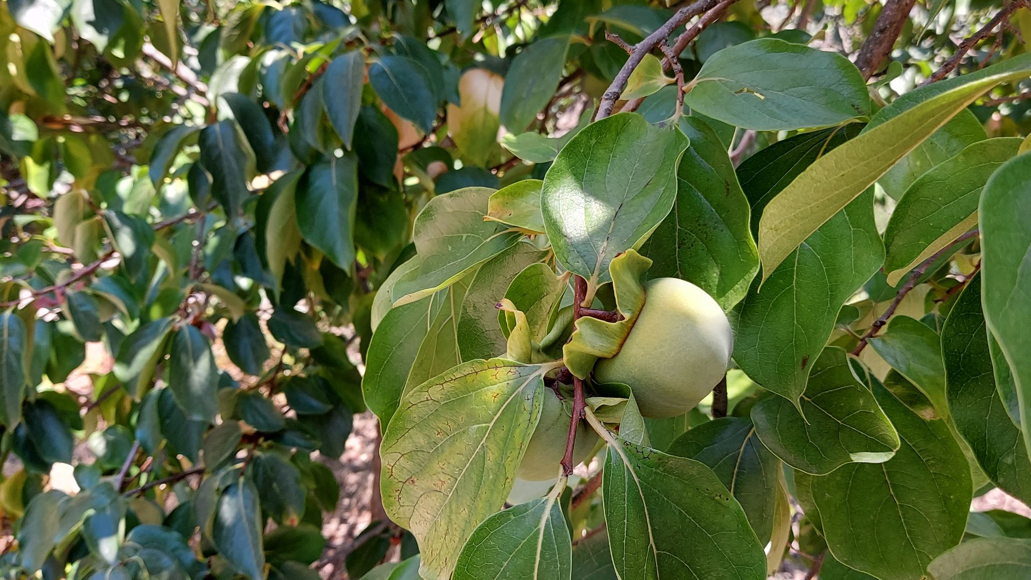 CASE AL LAGO Putignano Puglia Tu (Putignano) By Case al Lago