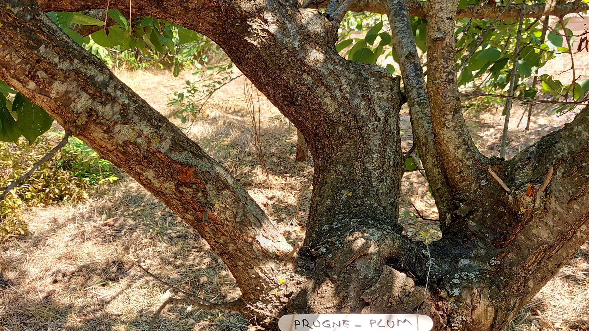 CASE AL LAGO Putignano Puglia Tu (Putignano) By Case al Lago