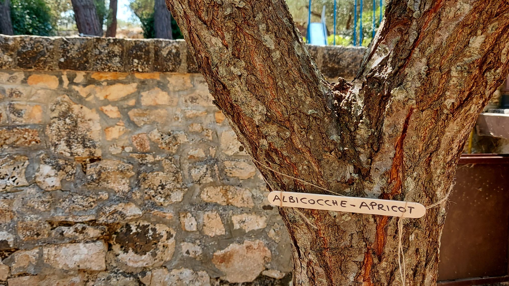 CASE AL LAGO Putignano Puglia Tu (Putignano) By Case al Lago