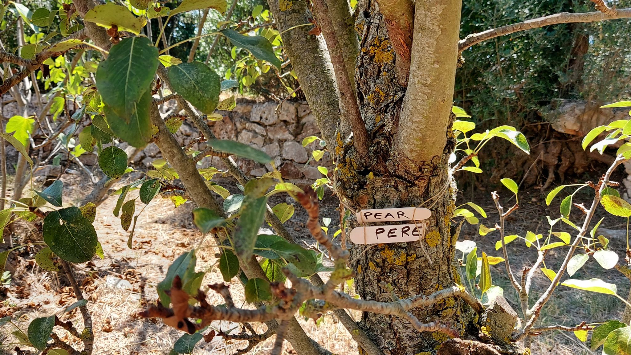 CASE AL LAGO Putignano Puglia Tu (Putignano) By Case al Lago