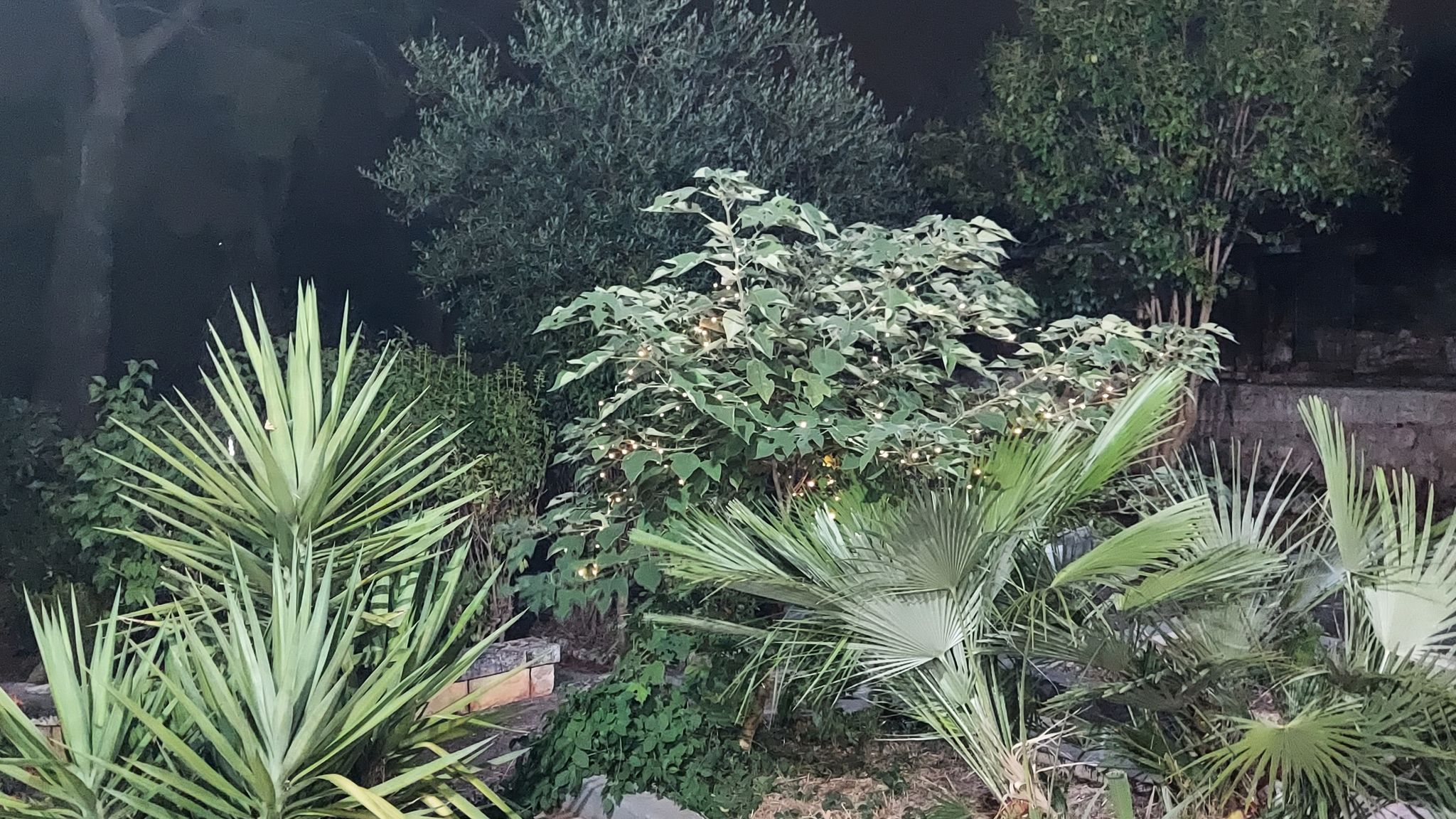 CASE AL LAGO Putignano Puglia Tu (Putignano) By Case al Lago