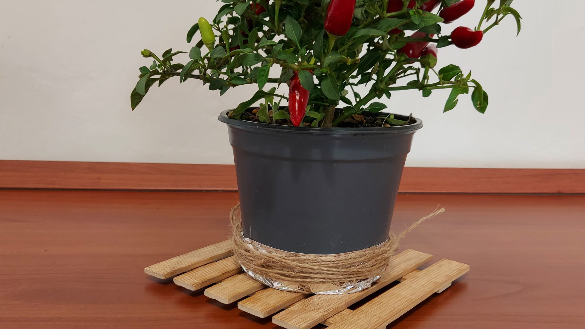 CASE AL LAGO Putignano Puglia Tu (Putignano) By Case al Lago