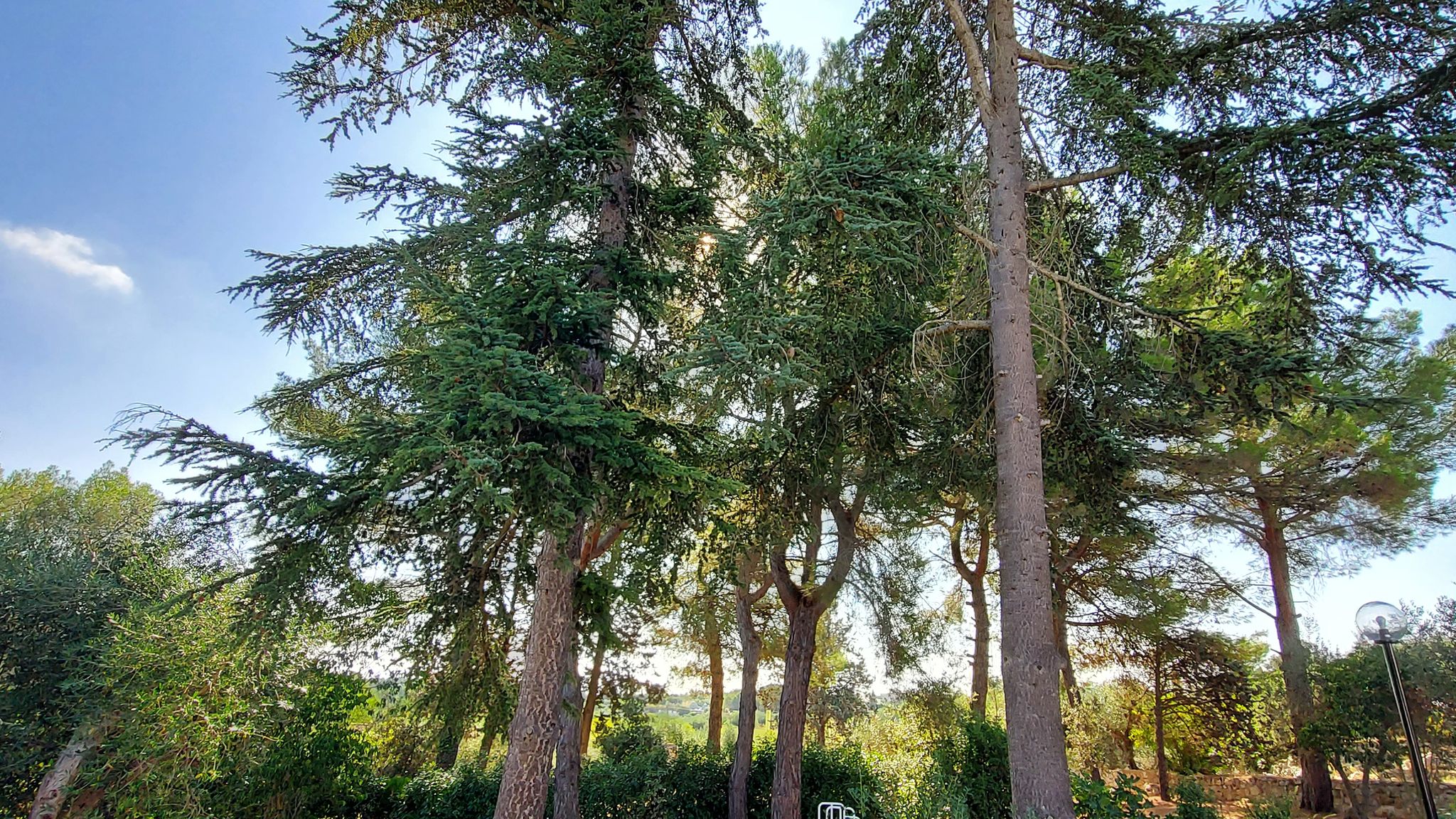 CASE AL LAGO Putignano Puglia Tu (Putignano) By Case al Lago