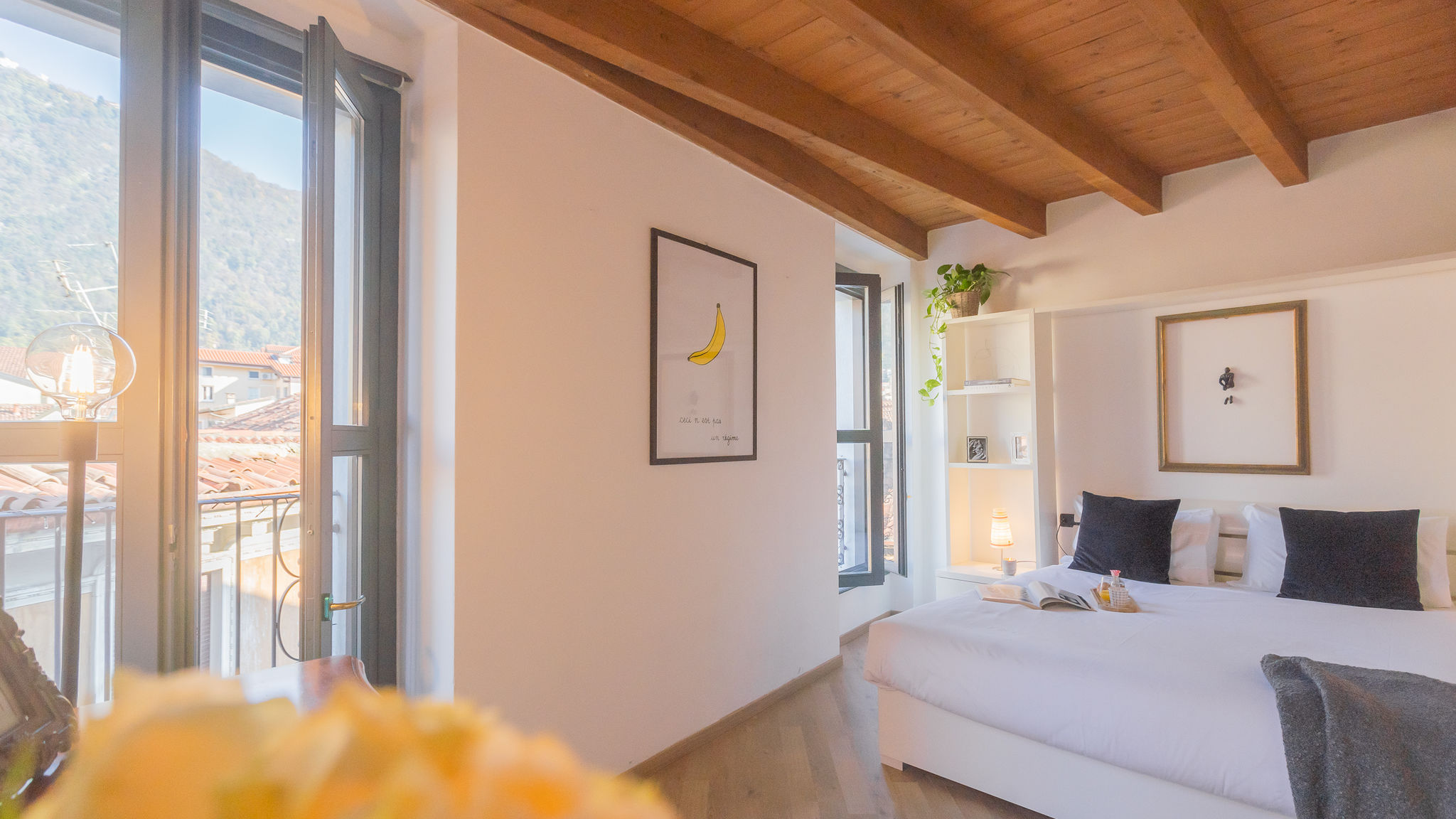 RentAllComo Como Luini 7