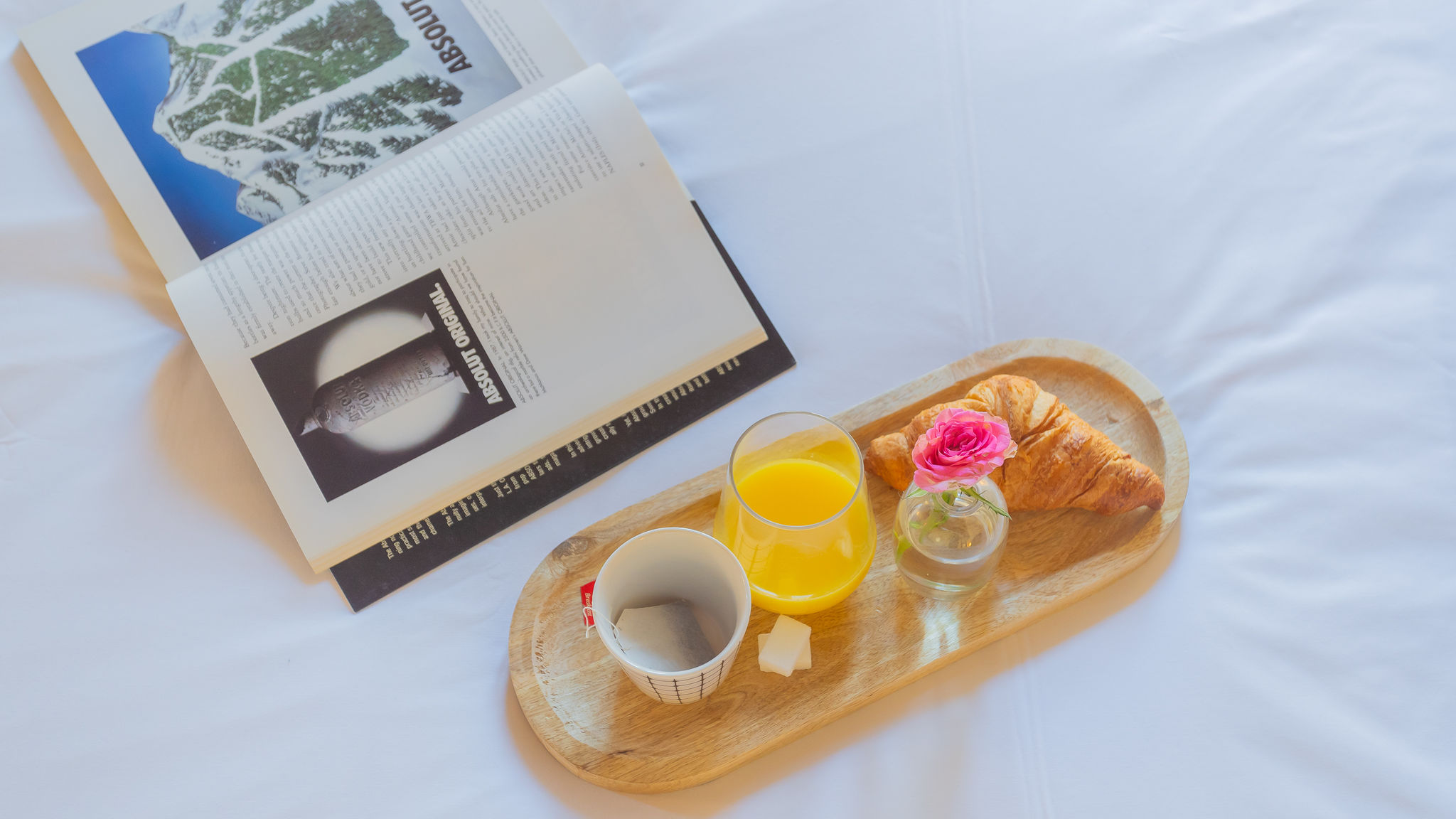 RentAllComo Como Luini 7