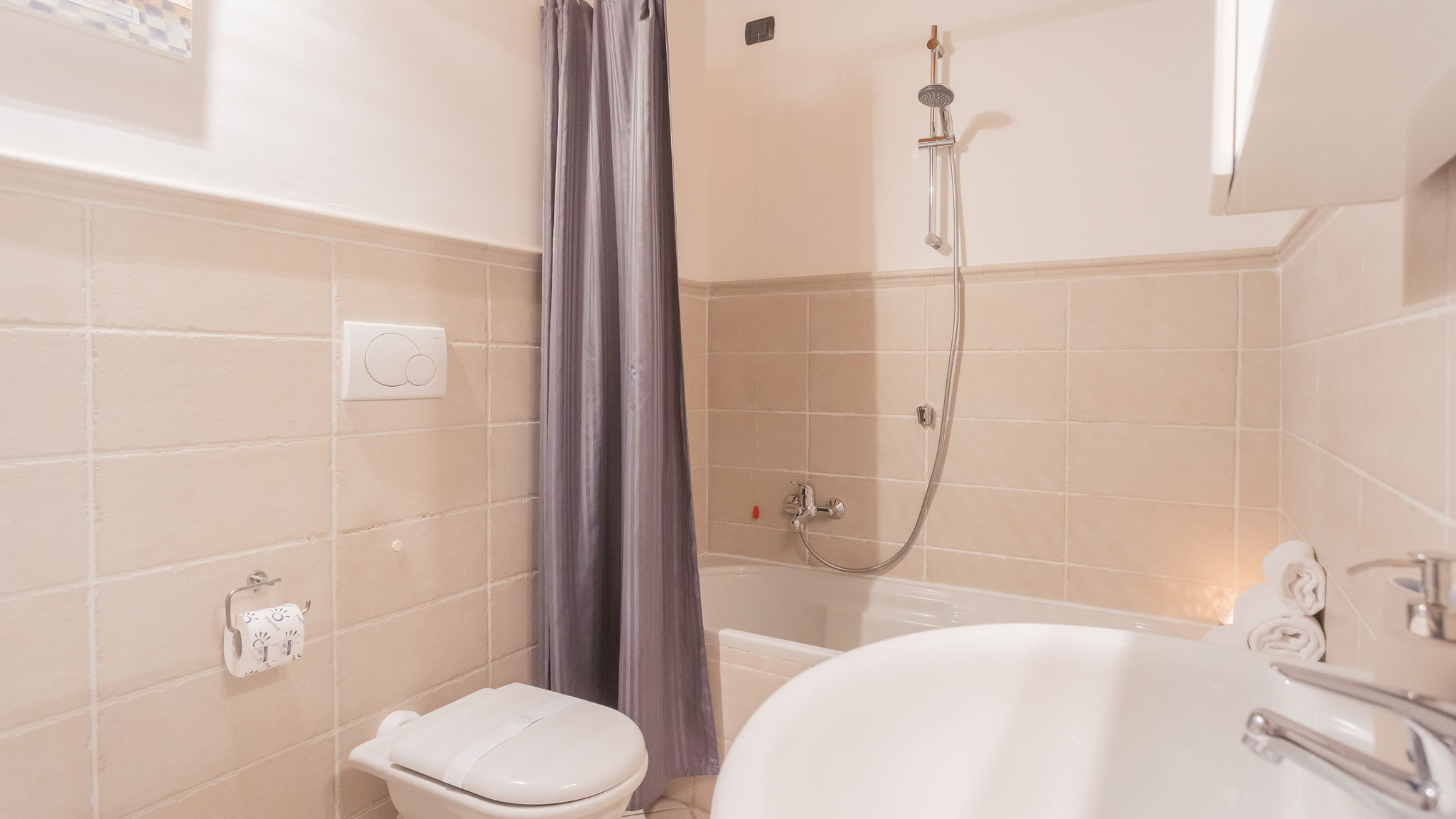 RentAllComo Como Luini 7