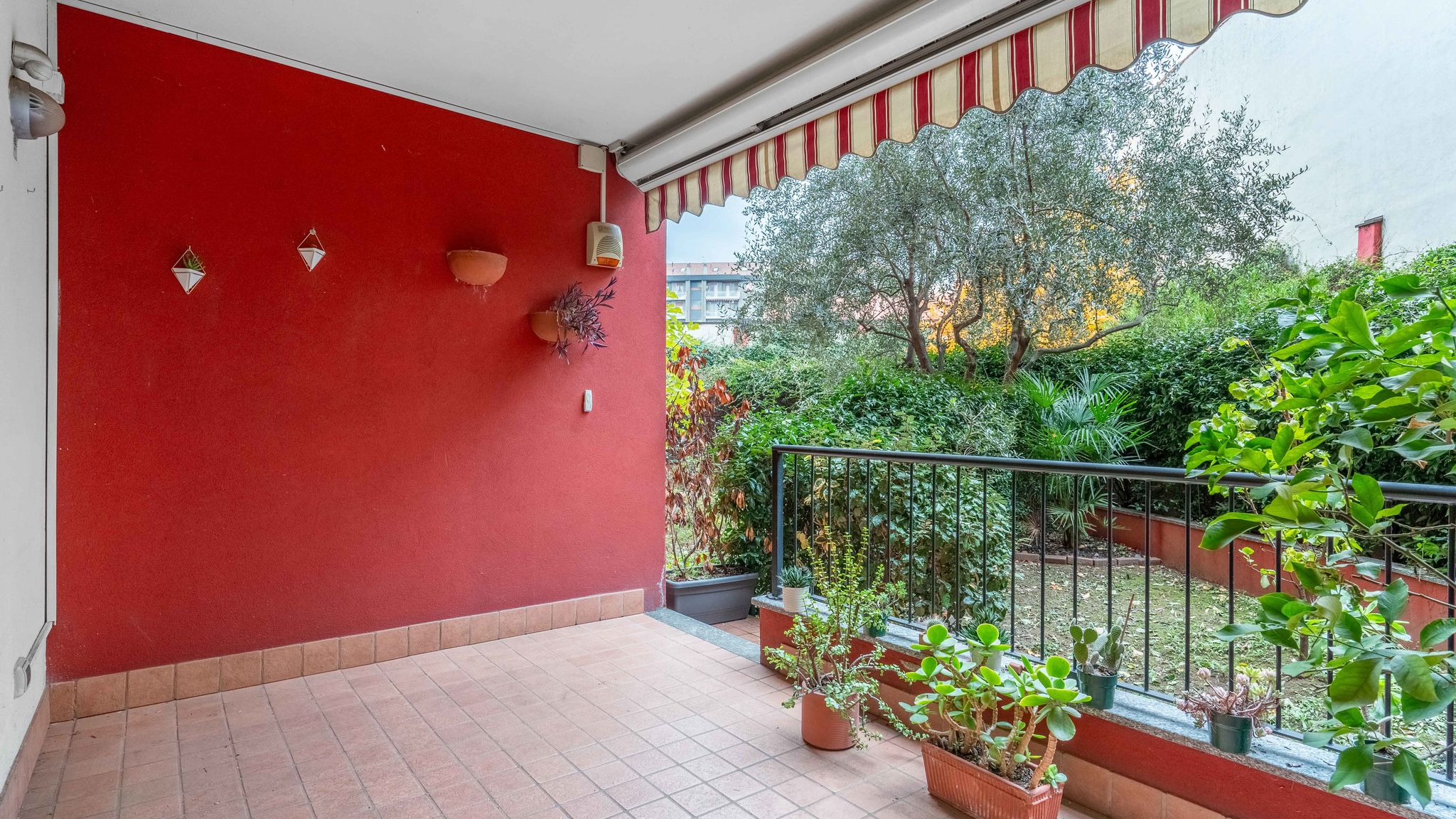ITS HOME - Baldinucci Garden