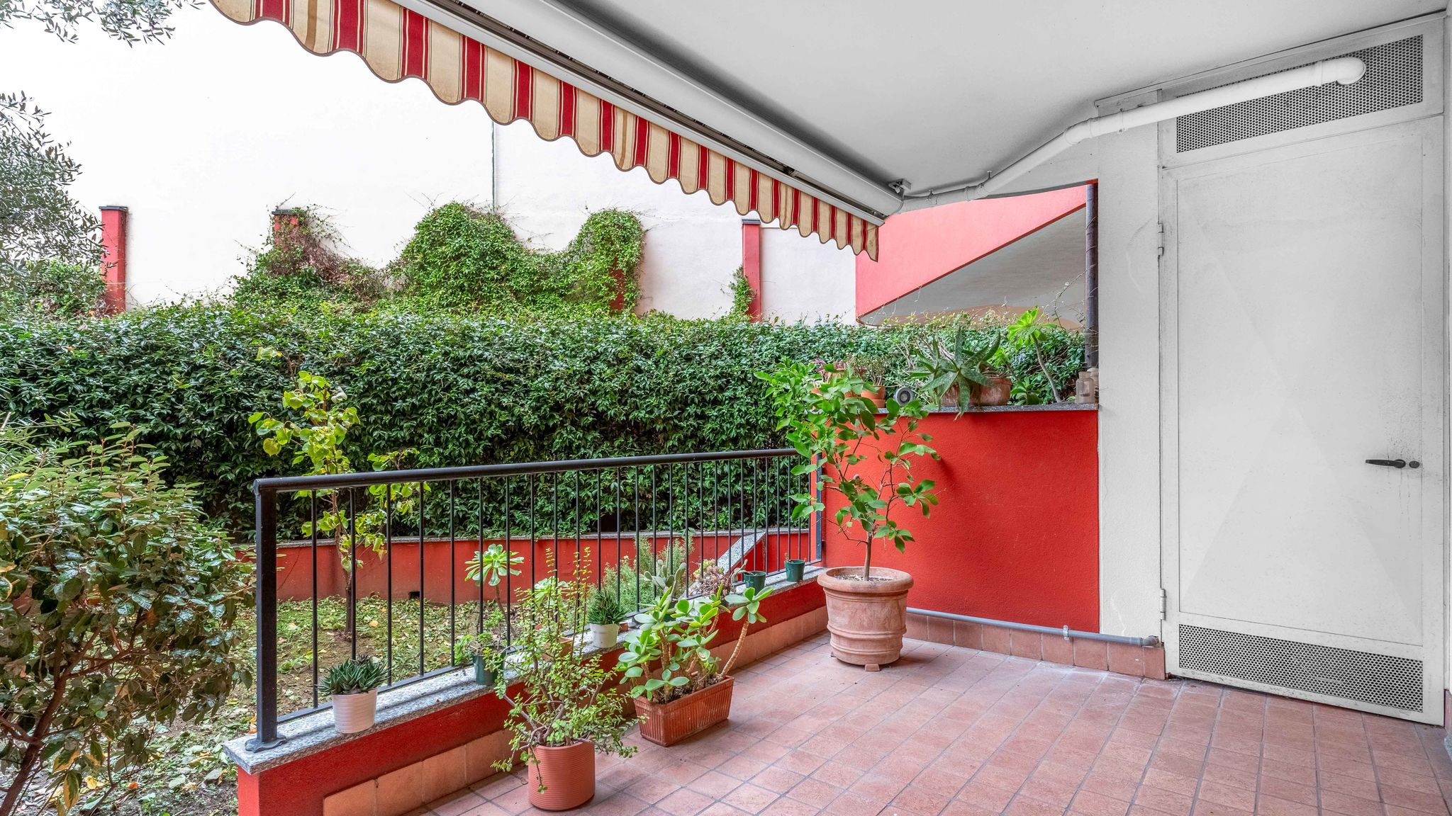 ITS HOME - Baldinucci Garden