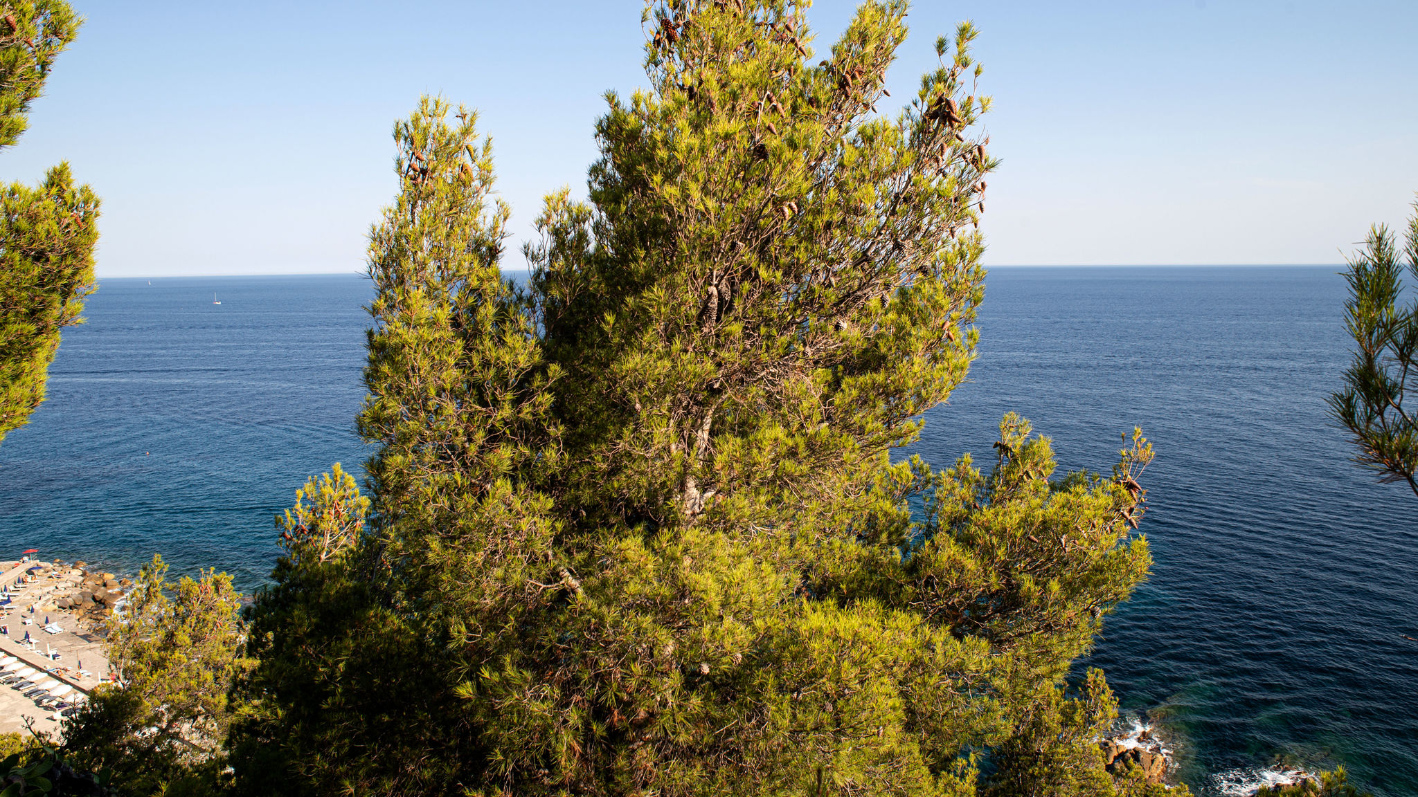 Italianway Sanremo Marconi 442