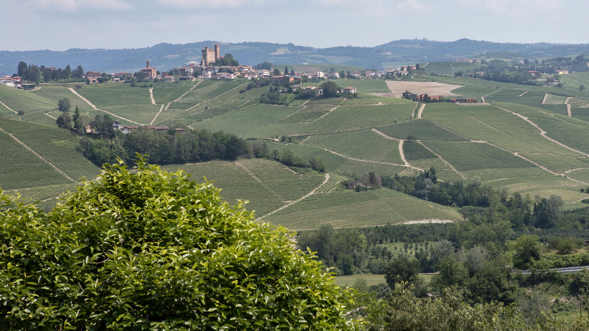 Italianway Castiglione Falletto Villa Langhe