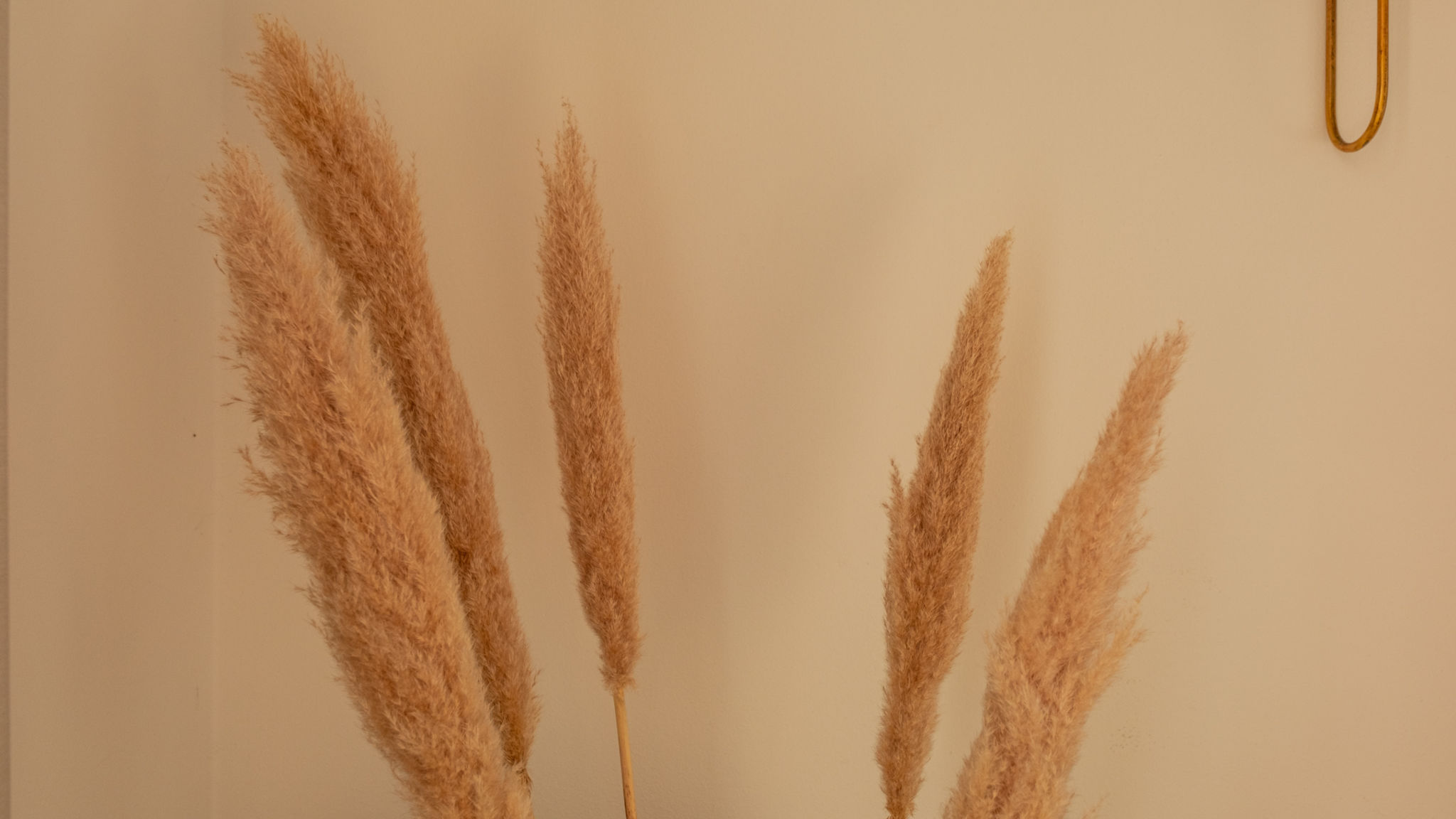 Italianway Parzanica Picasso