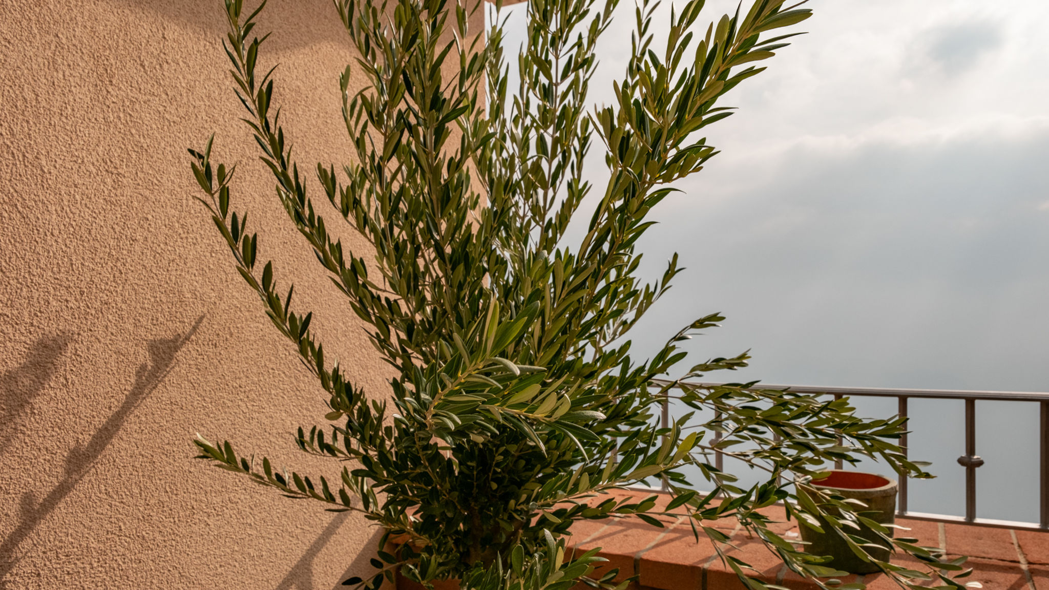 Italianway Parzanica Picasso