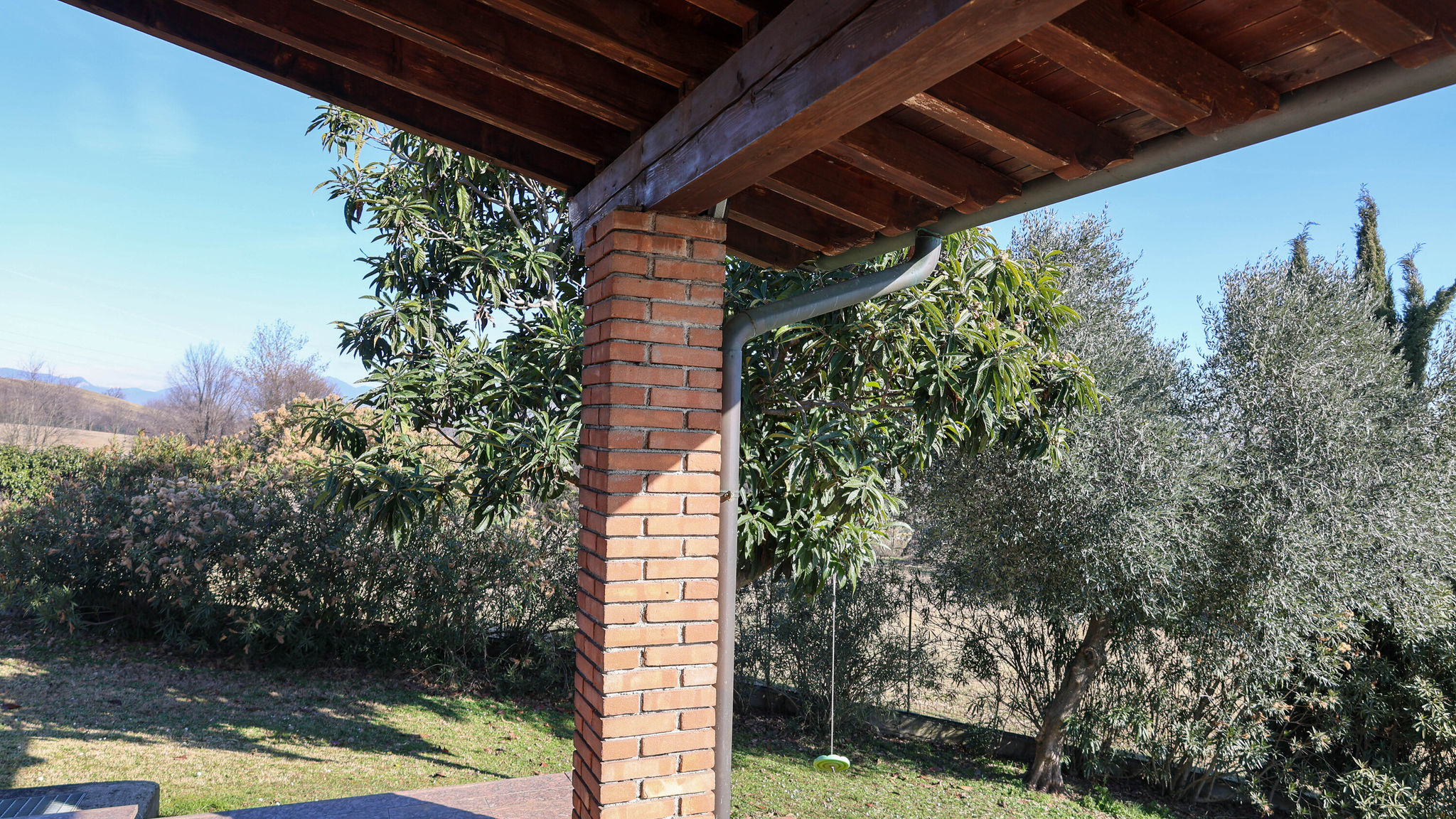 Piccola Pepita