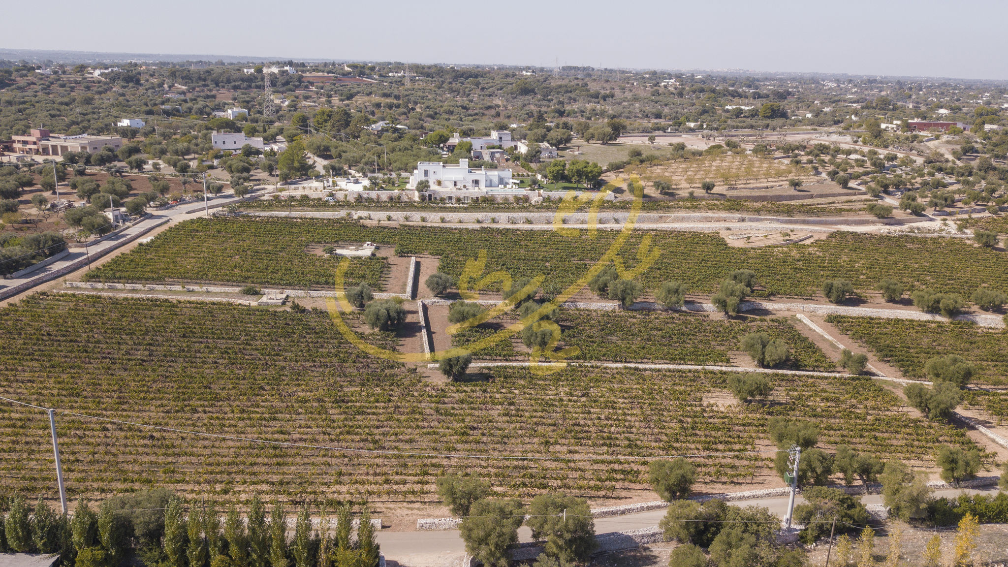 Italianway Monopoli TD Casale Donna Madia Sea View Pool Over Vineyard