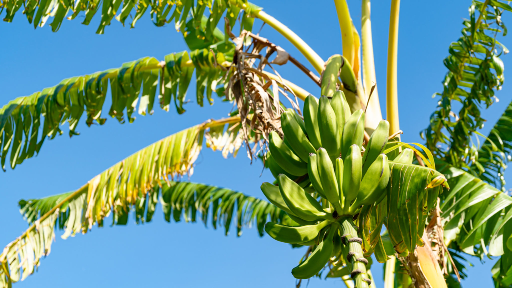Italianway Torino di Sangro Villa dei Gruccioni - YourPlace Abruzzo