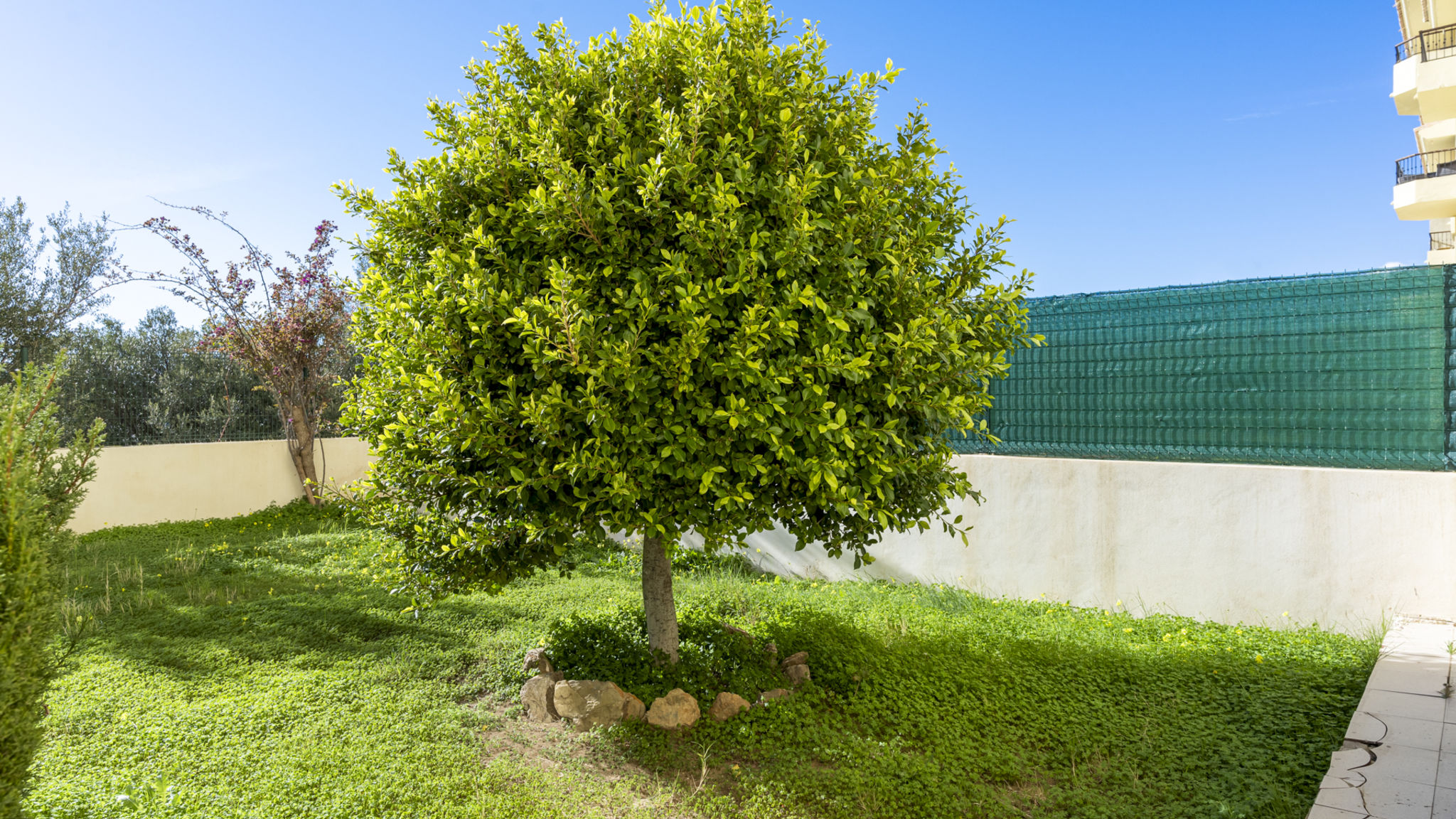 Jardin Botanico · 3BR Apartment in La Cala Ref 168
