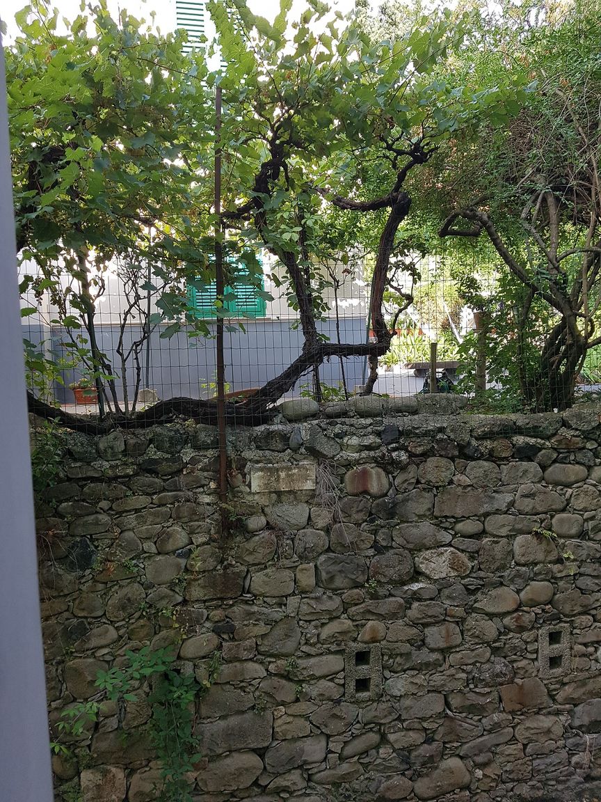 Italianway Monterosso al Mare Giuliana Cosy Apt central & near the best beaches