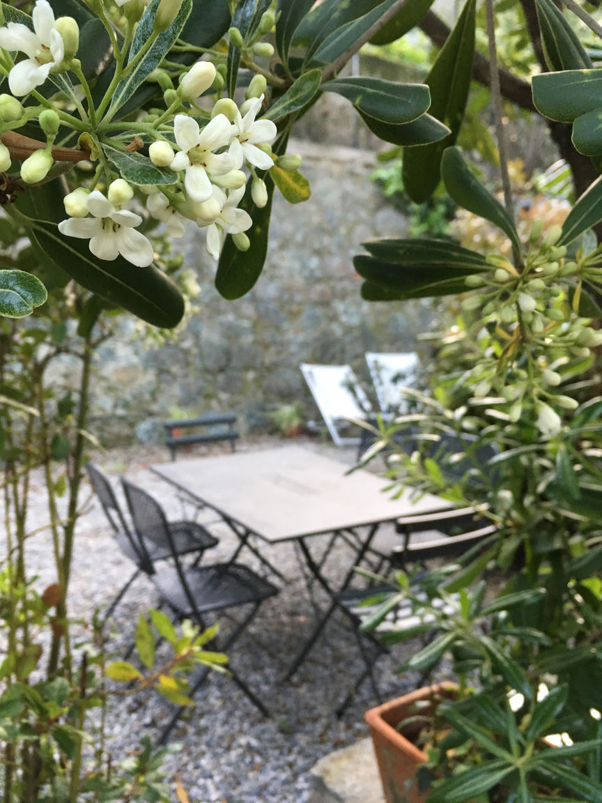 Italianway Monterosso al Mare IL NIDO Della Vecchiona by the sea - A/C - Parking