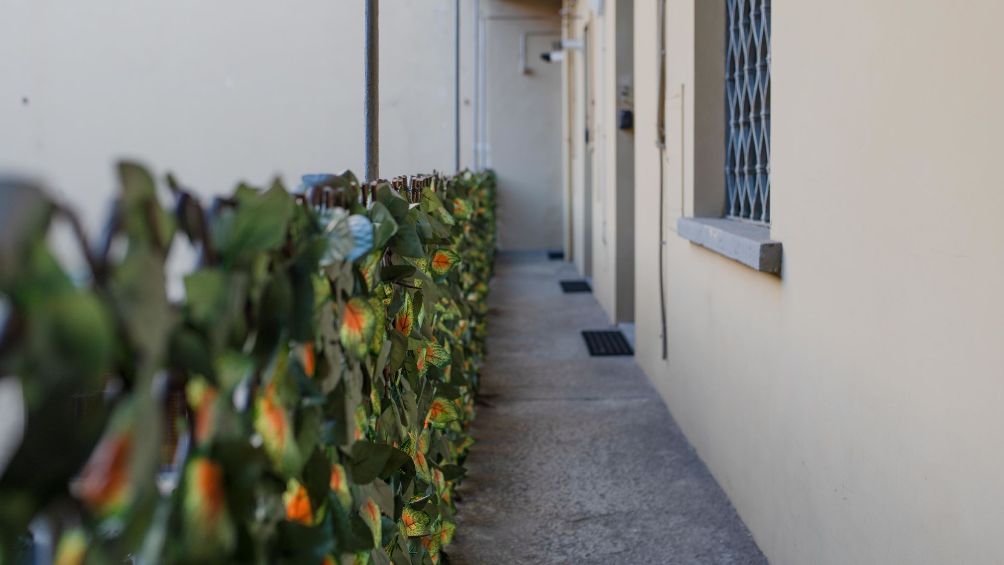 Toh Solution Srls Torino Corte d'Appello Rooms CIT