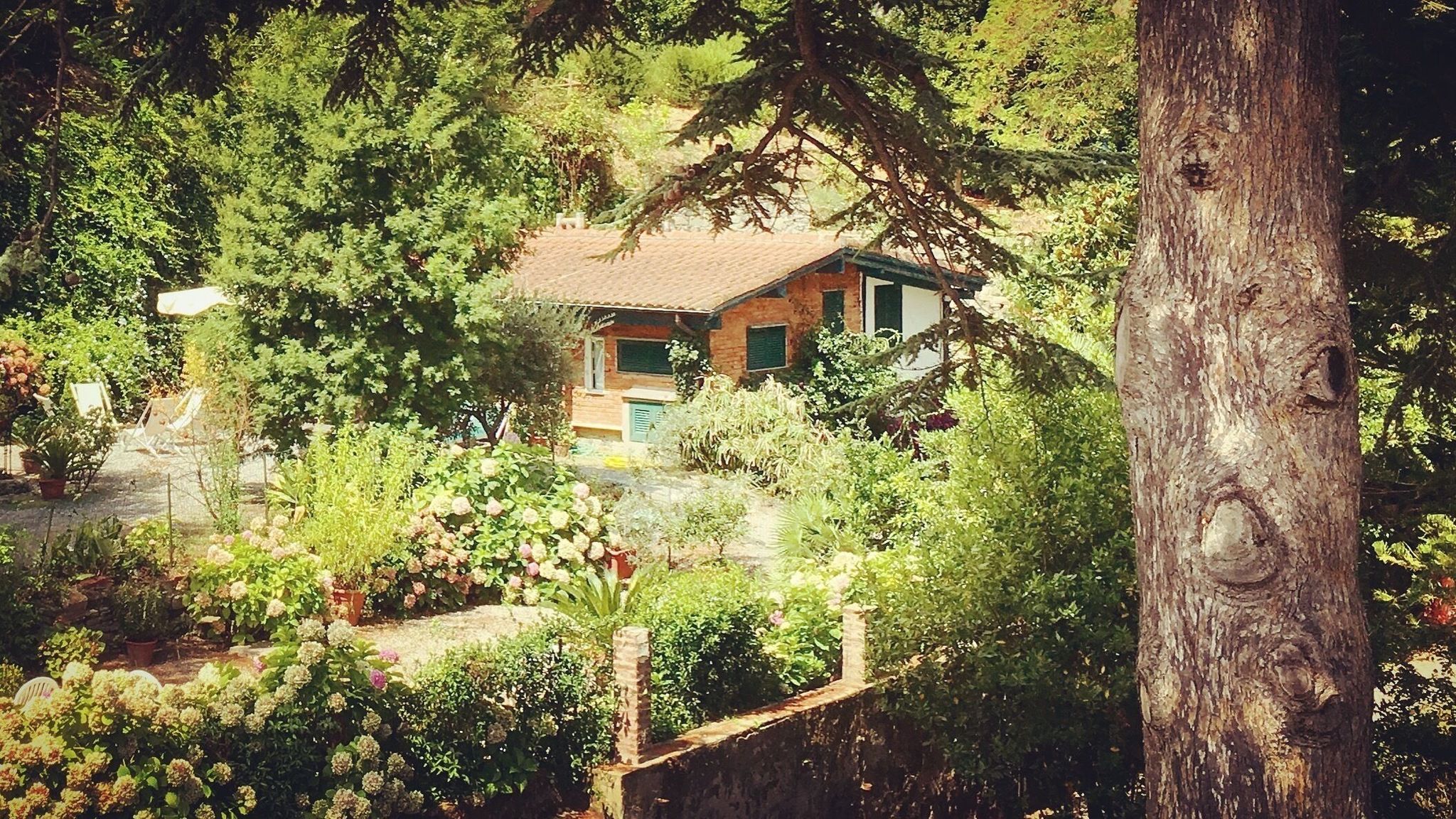 Italianway Monterosso al Mare Lo Sceriffo delightful villa in dreamy garden A/C