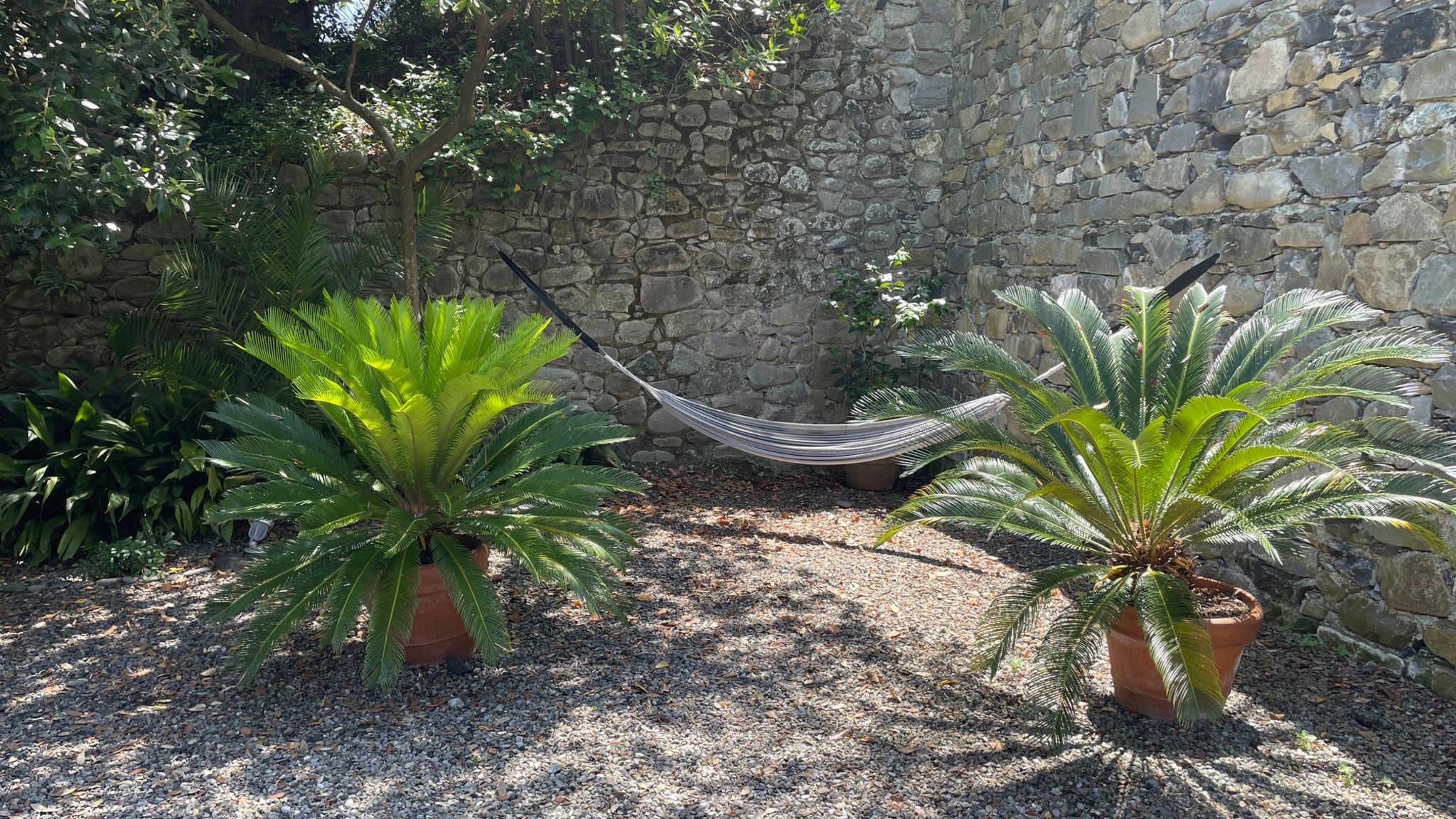 Italianway Monterosso al Mare Lo Sceriffo delightful villa in dreamy garden A/C