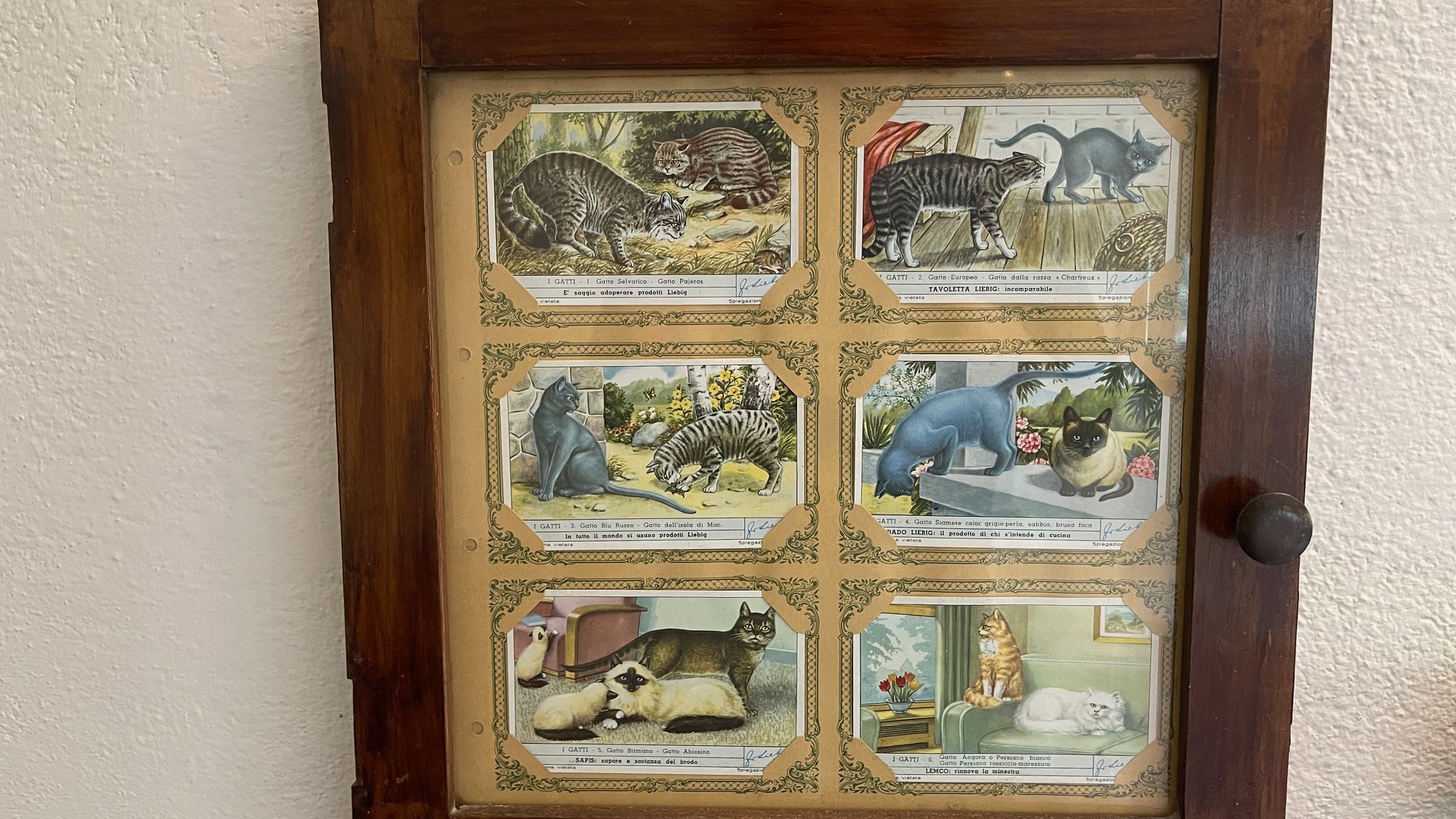 Italianway Monterosso al Mare Lo Sceriffo delightful villa in dreamy garden A/C