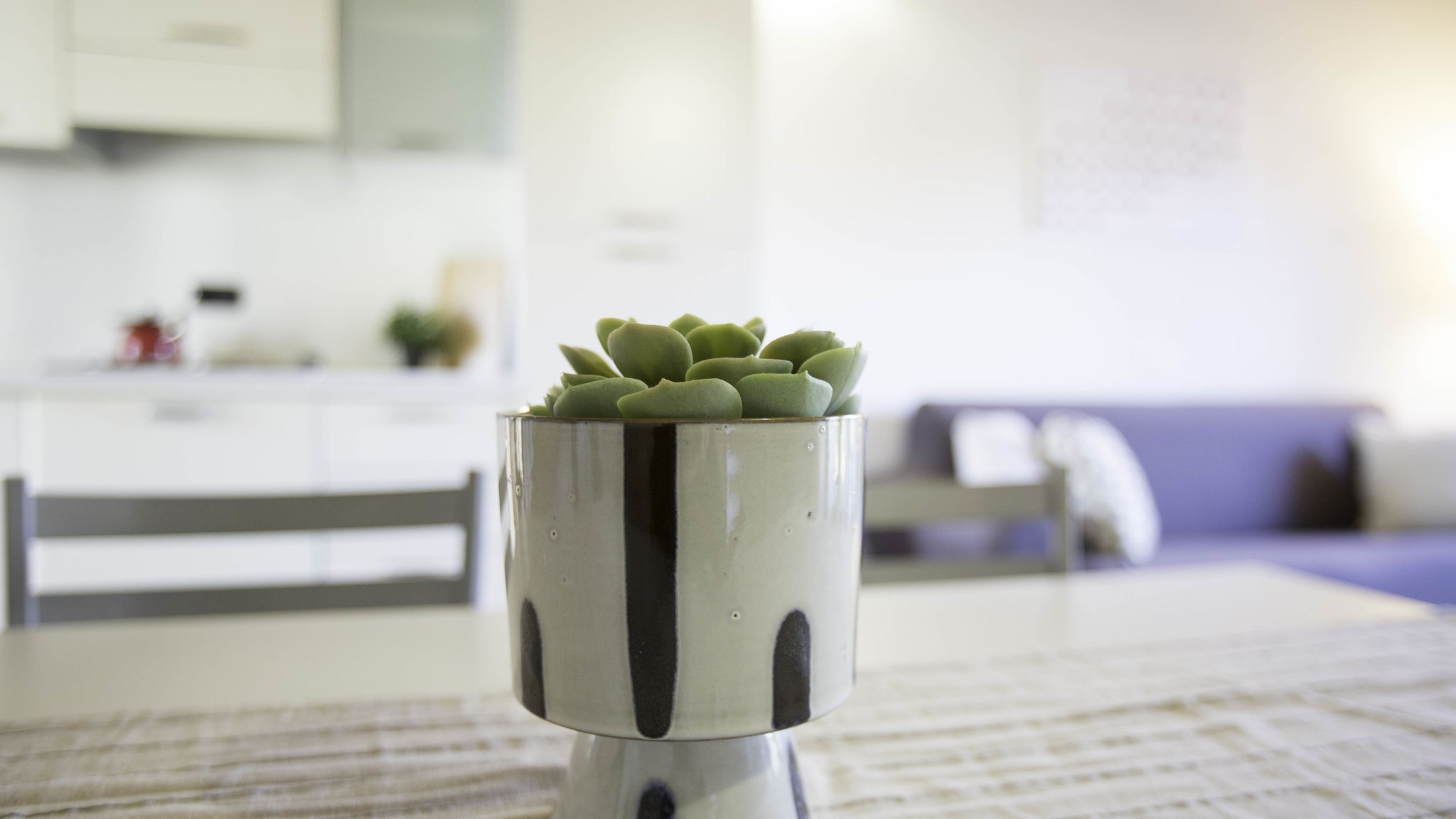 Experia Golf Loft _OLD_OWNER