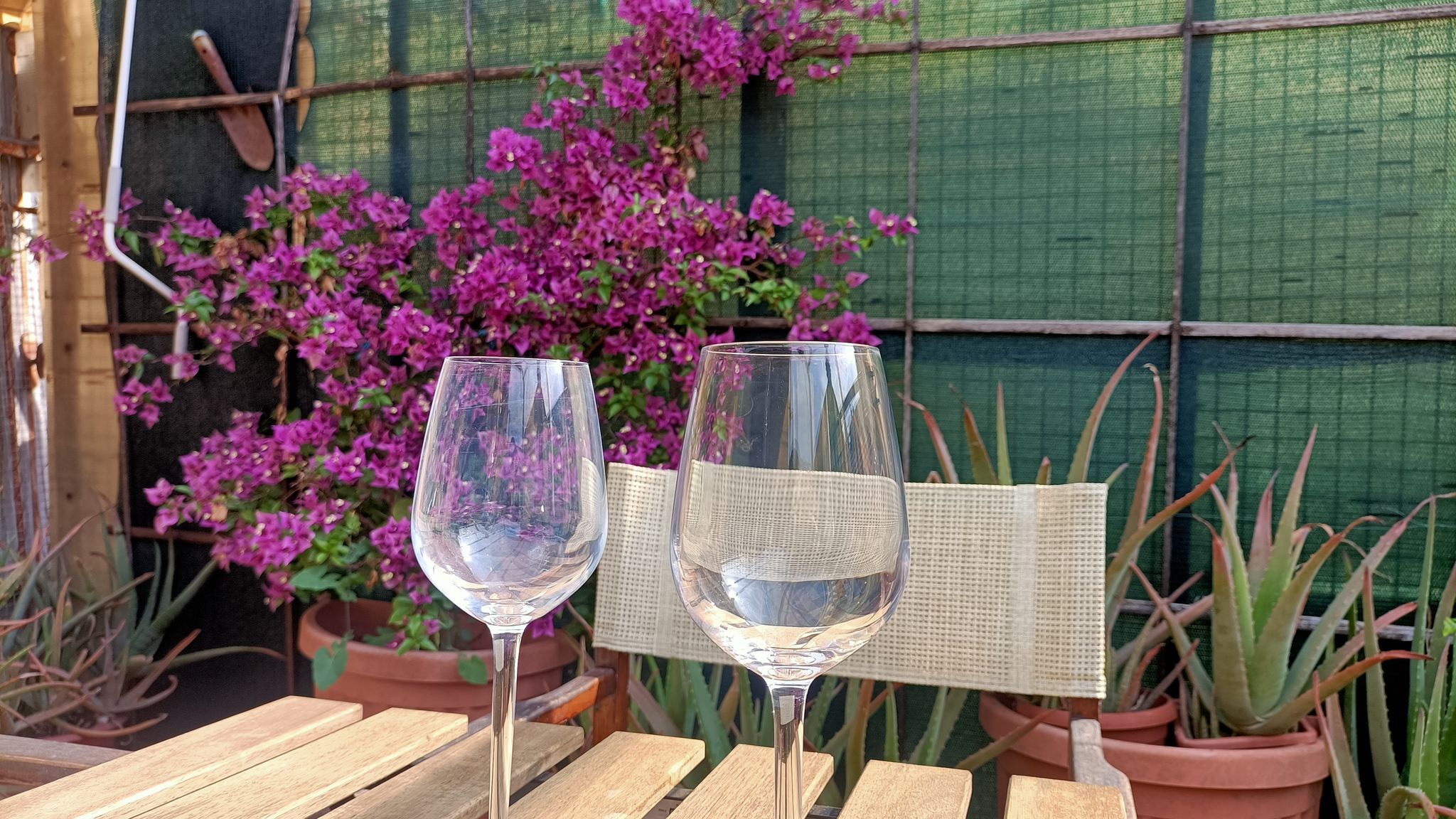 Italianway Albenga Delle Erbe – The Nightlife