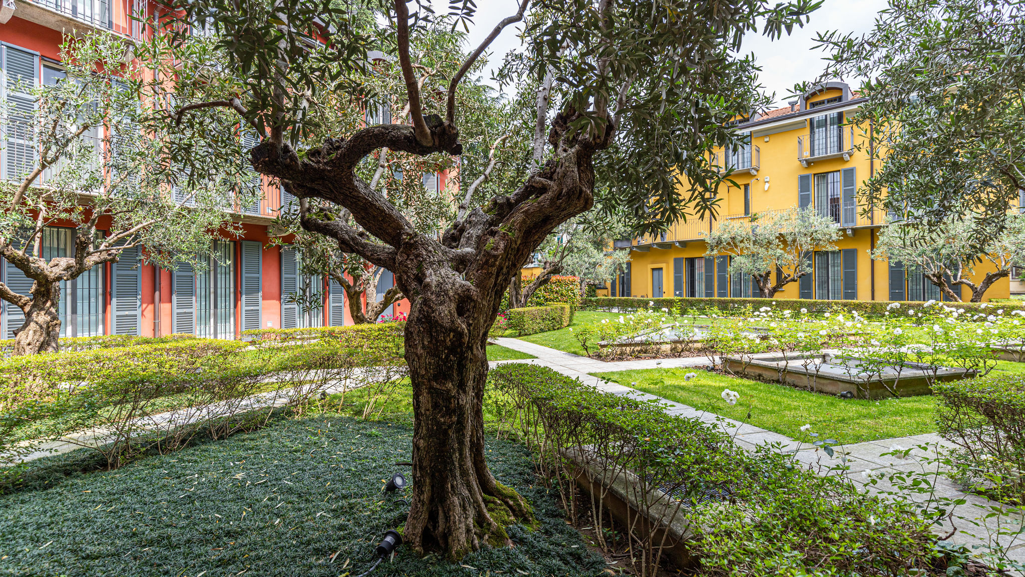 Italianway Monza Aliprandi 29